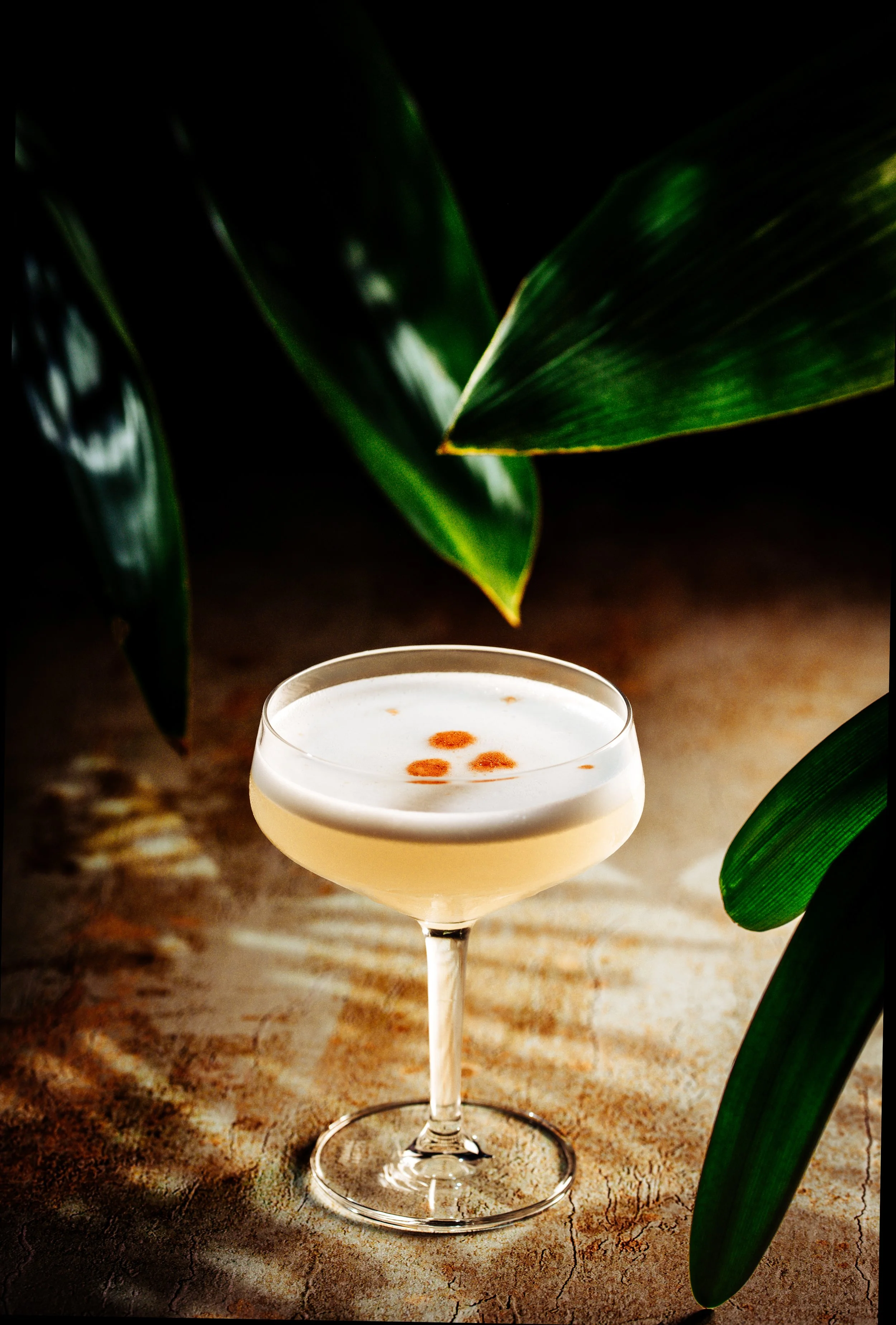 A cocktail in a coupe glass topped with foam and orange garnishes, set on a rustic surface with dark green leaves in the background.