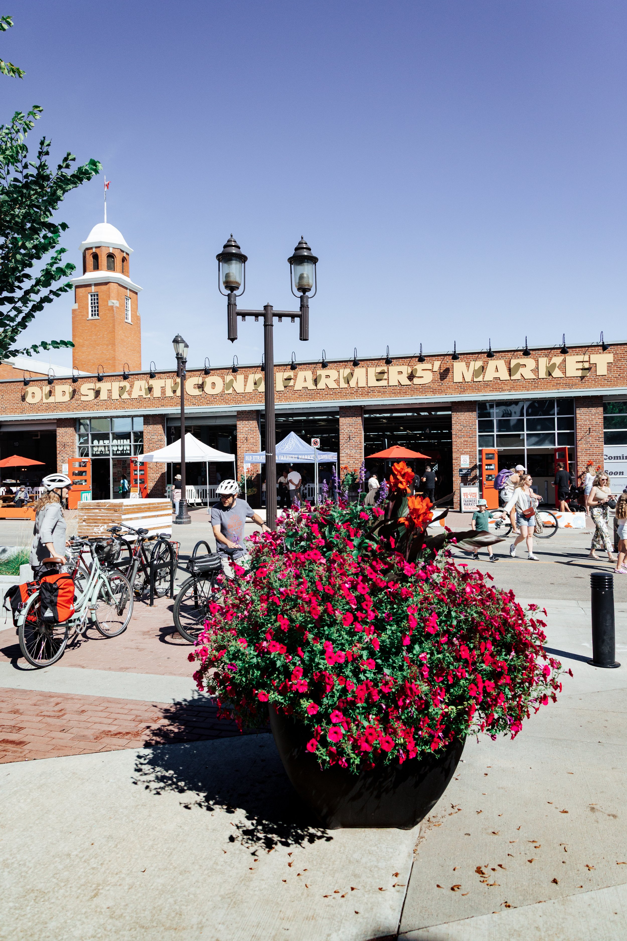 Strathcona Market - Edmonton