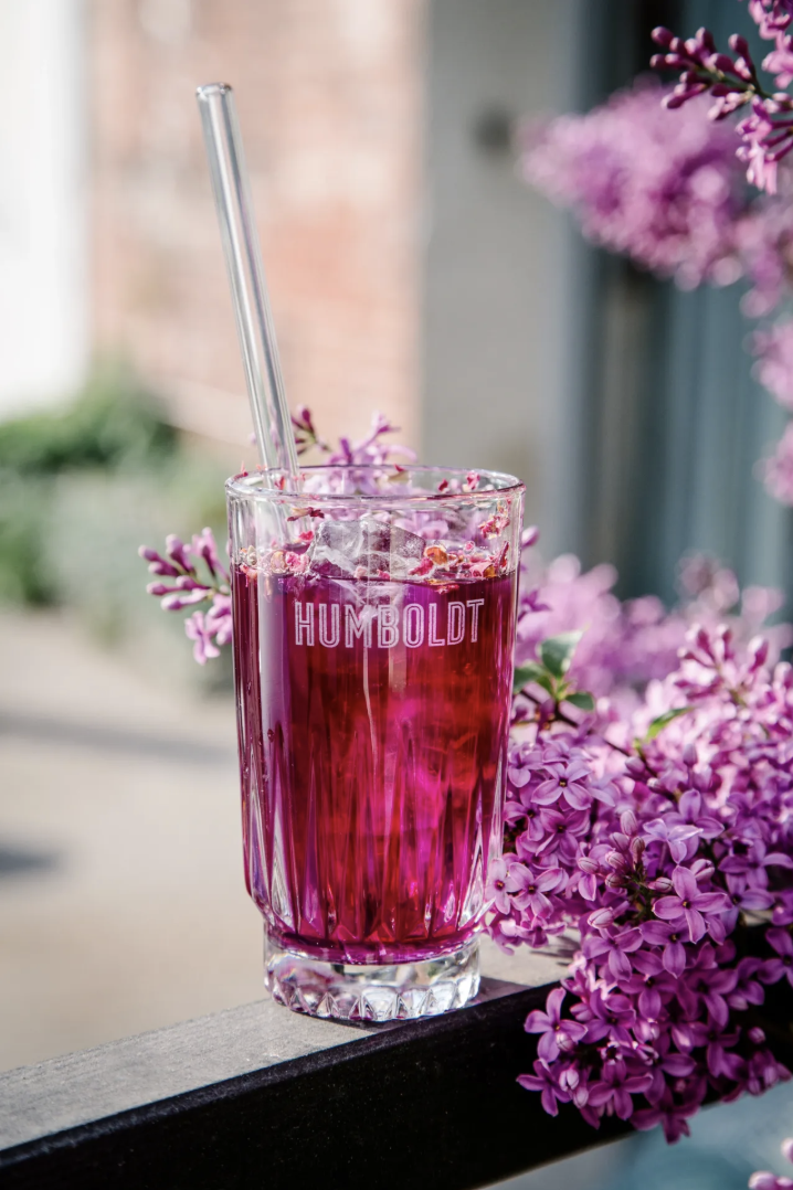 A tall glass with the word 'HUMBOLDT' etched on it, filled with a pink or violet-colored beverage, and a clear straw inside. The glass is placed on a surface, with purple lilac flowers around it, outdoors.