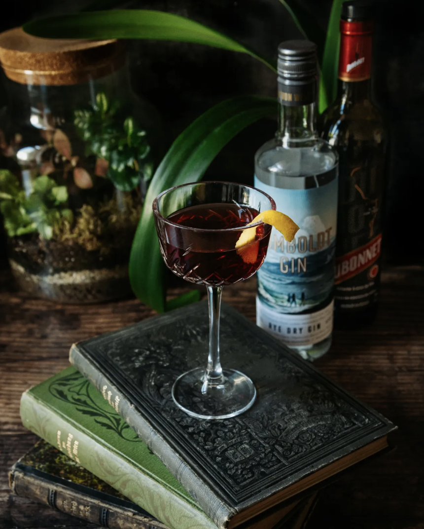 A glass of red wine with a lemon twist garnish placed on top of two stacked vintage books on a wooden surface, with a potted plant and bottles of gin and whiskey in the background.