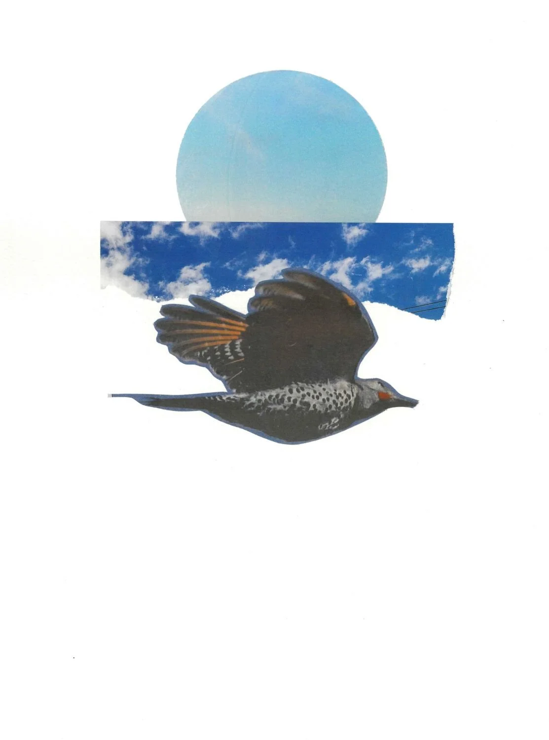 Soar