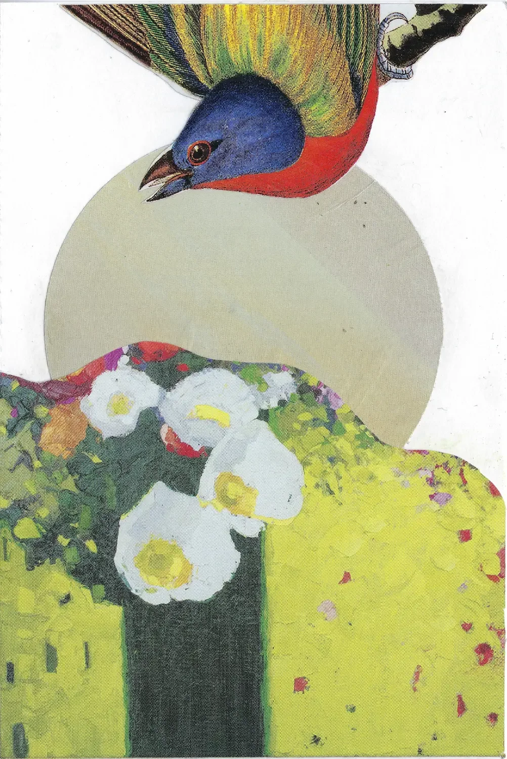 Bird & Bloom