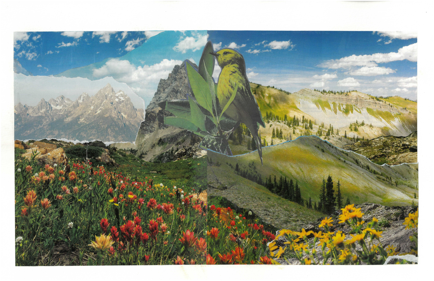 A collage of nature scenes with mountains, flowers, a bird, and leaves, combining real and illustrated elements.