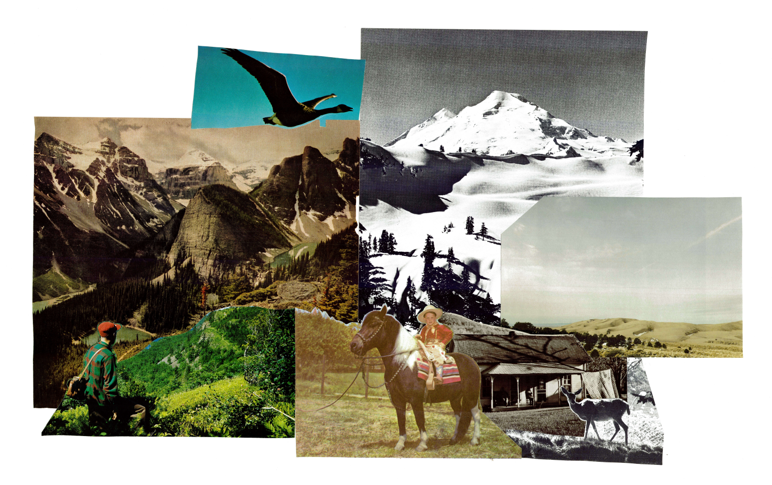 Collage of various scenic images including mountains, a woman riding a horse, a person overlooking greenery, a flying bird, a snowy mountain, and a donkey near a building.