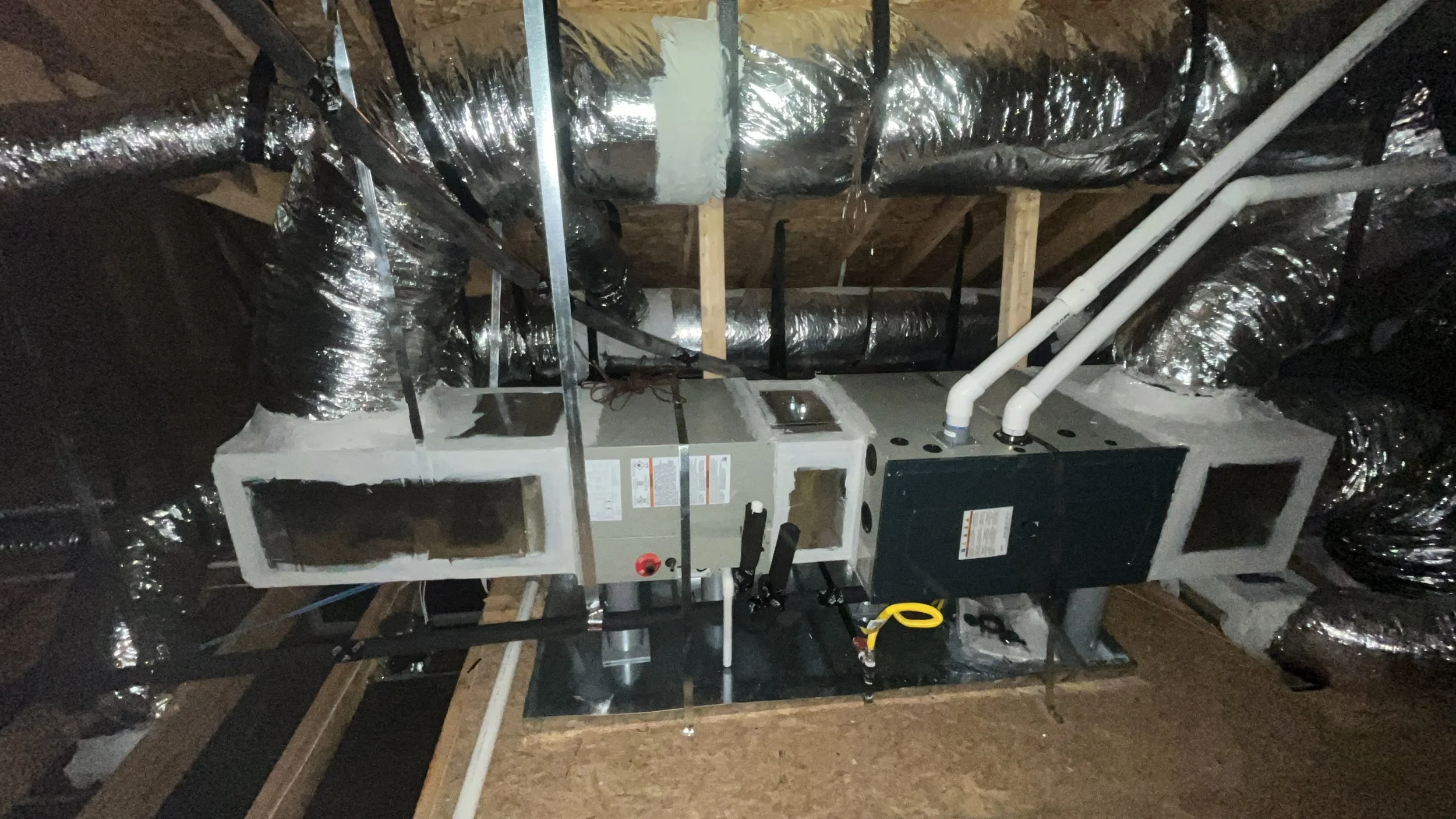 798E4CCA-13DE-4BEE-BCB2-8A0919A4FFB7.jpg