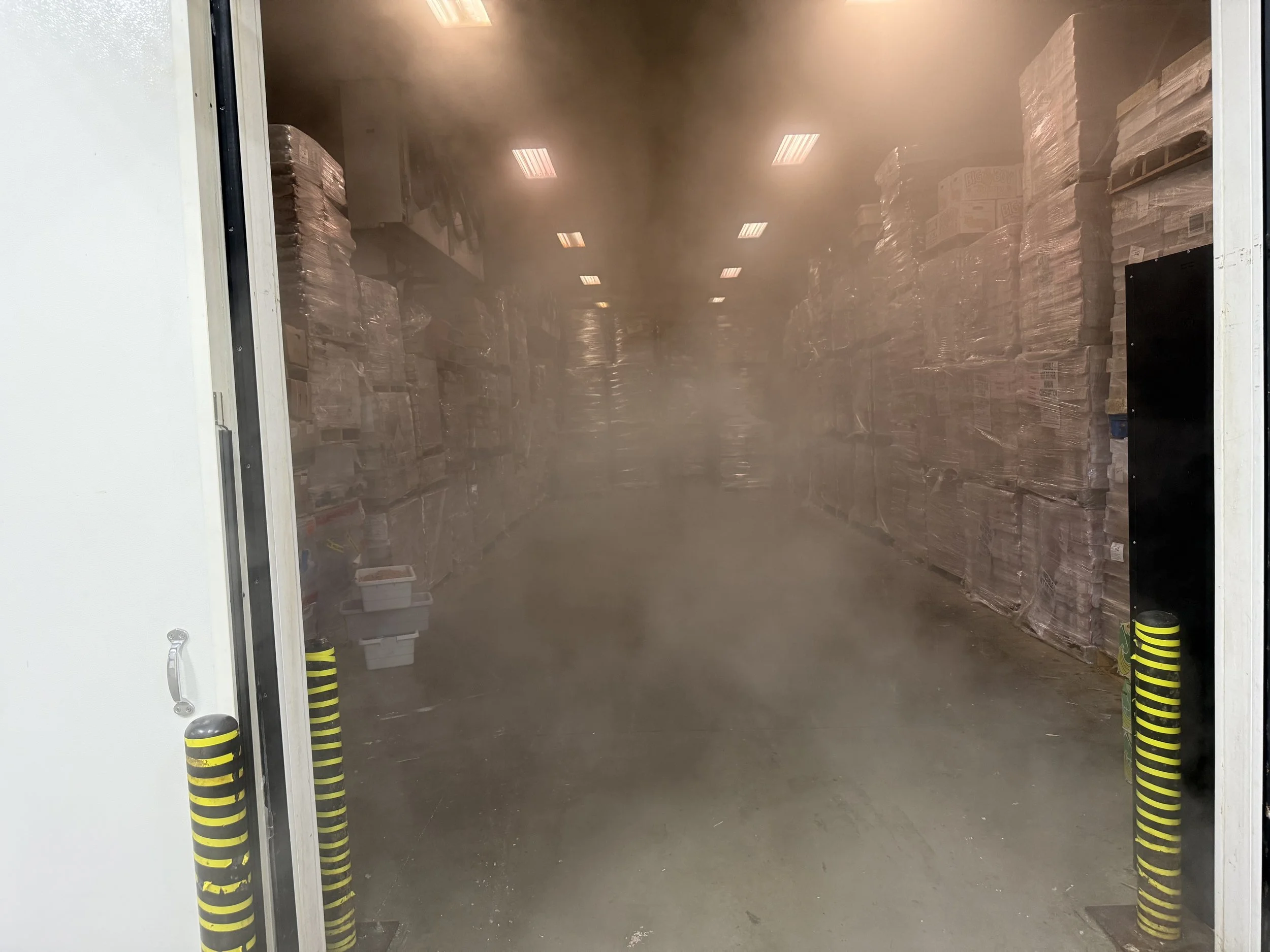 Warehouse storage room filled with shrink-wrapped pallets and boxes, viewed through an open loading door