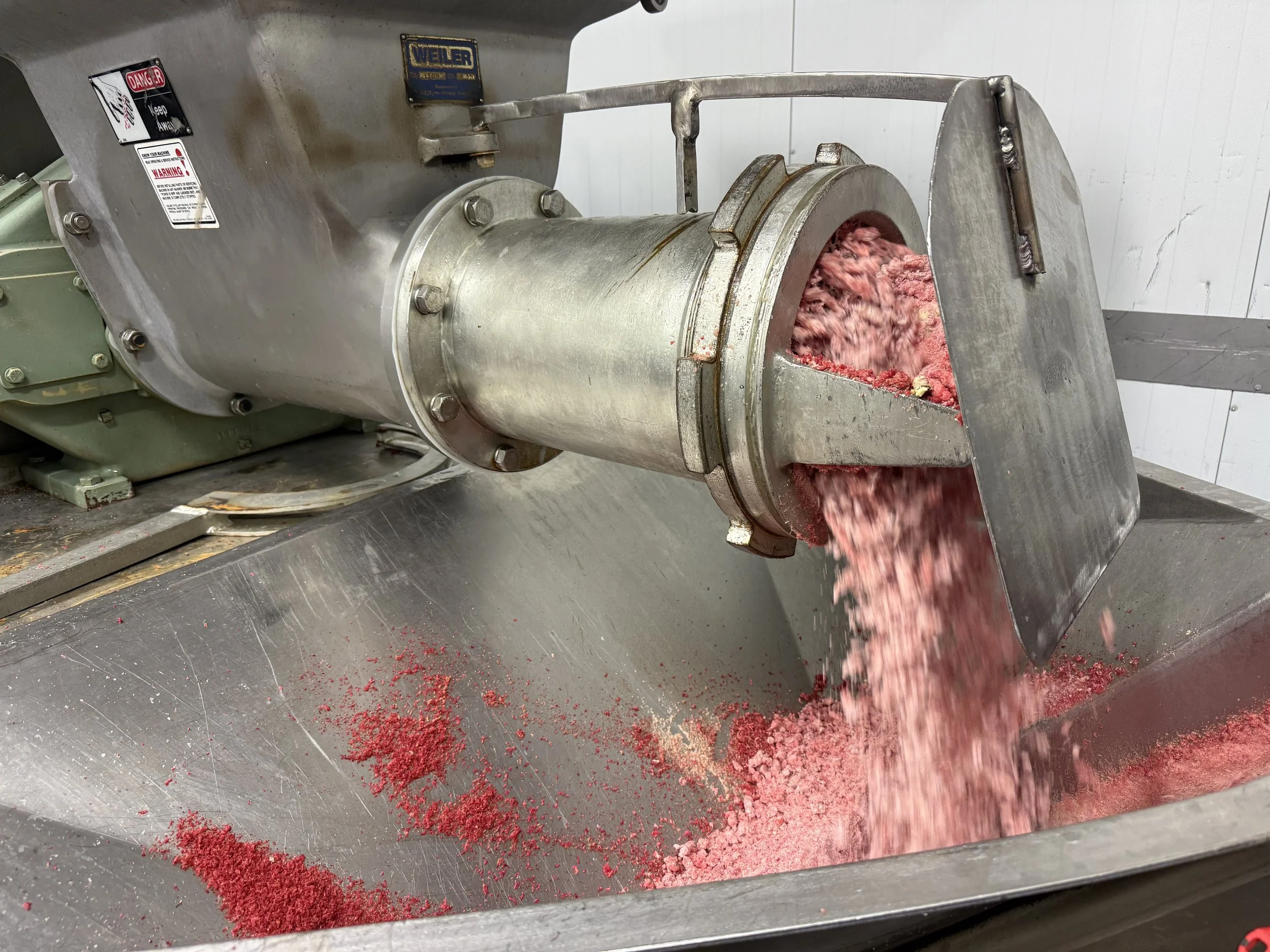 Industrial meat grinder extruding pink ground meat into a stainless steel collection tray