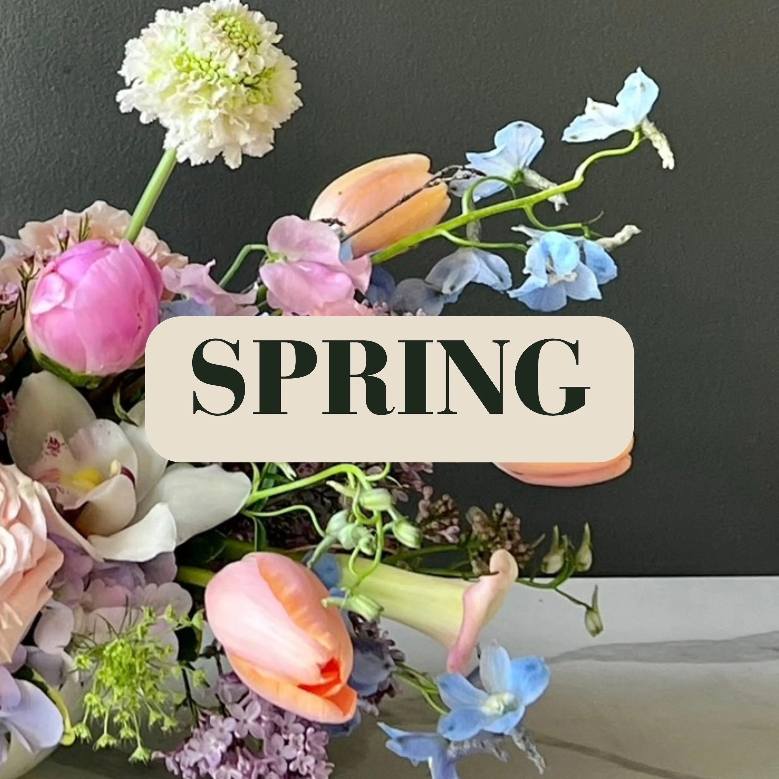 Spring_flowers_tulips.jpg