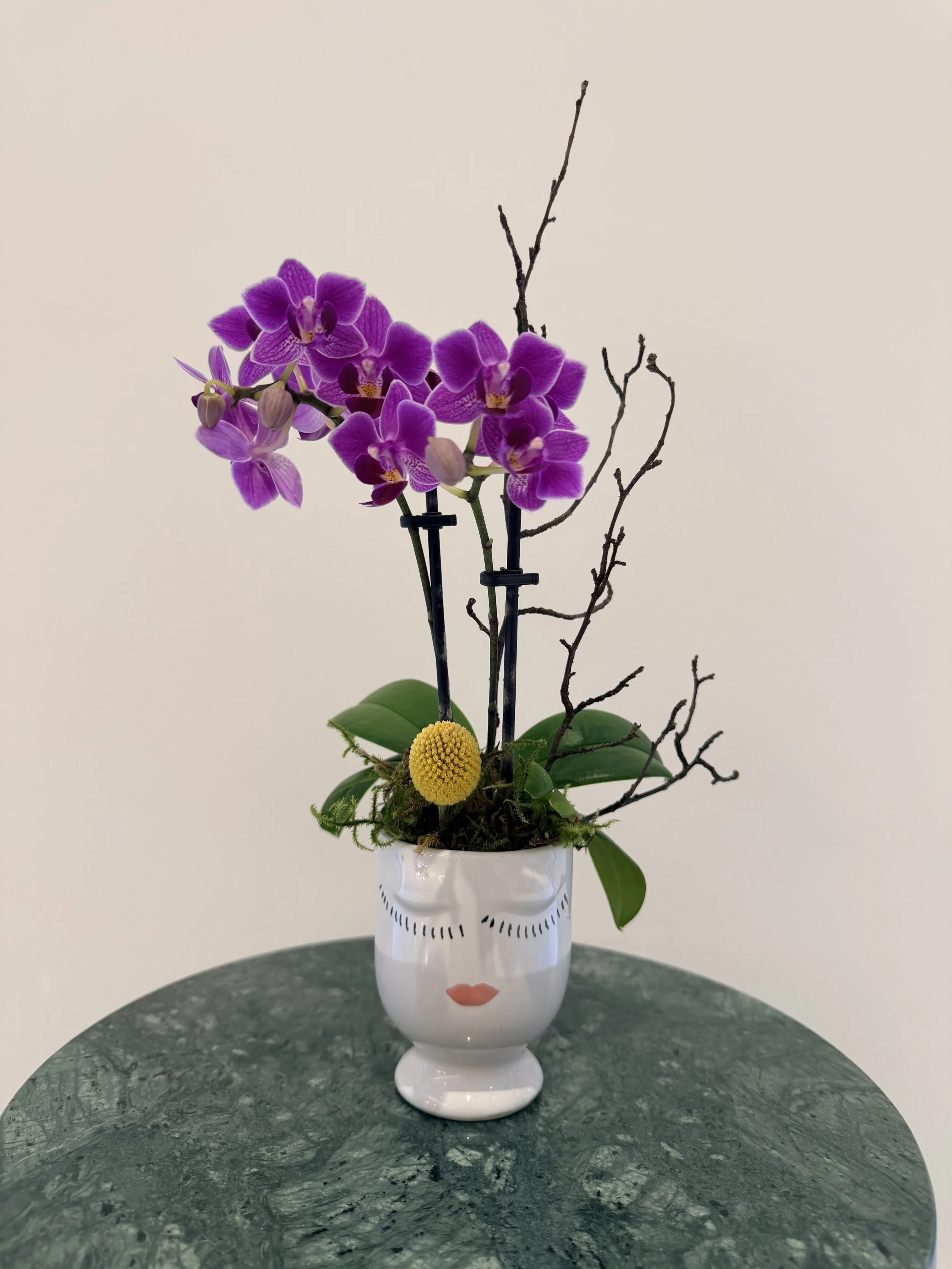 small_purple_orchid_plant_2.jpg