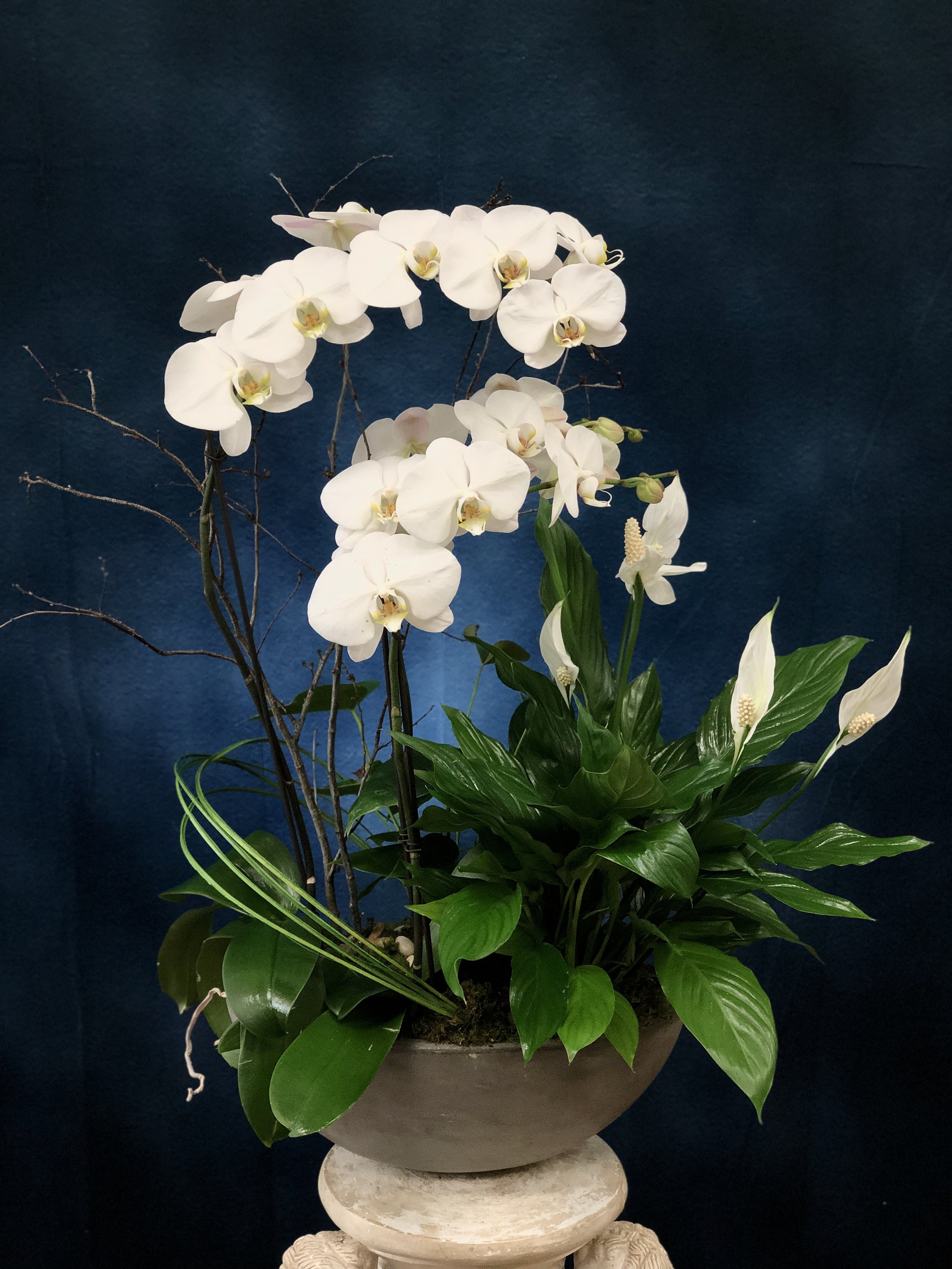 Orchids & Peace lily Planter