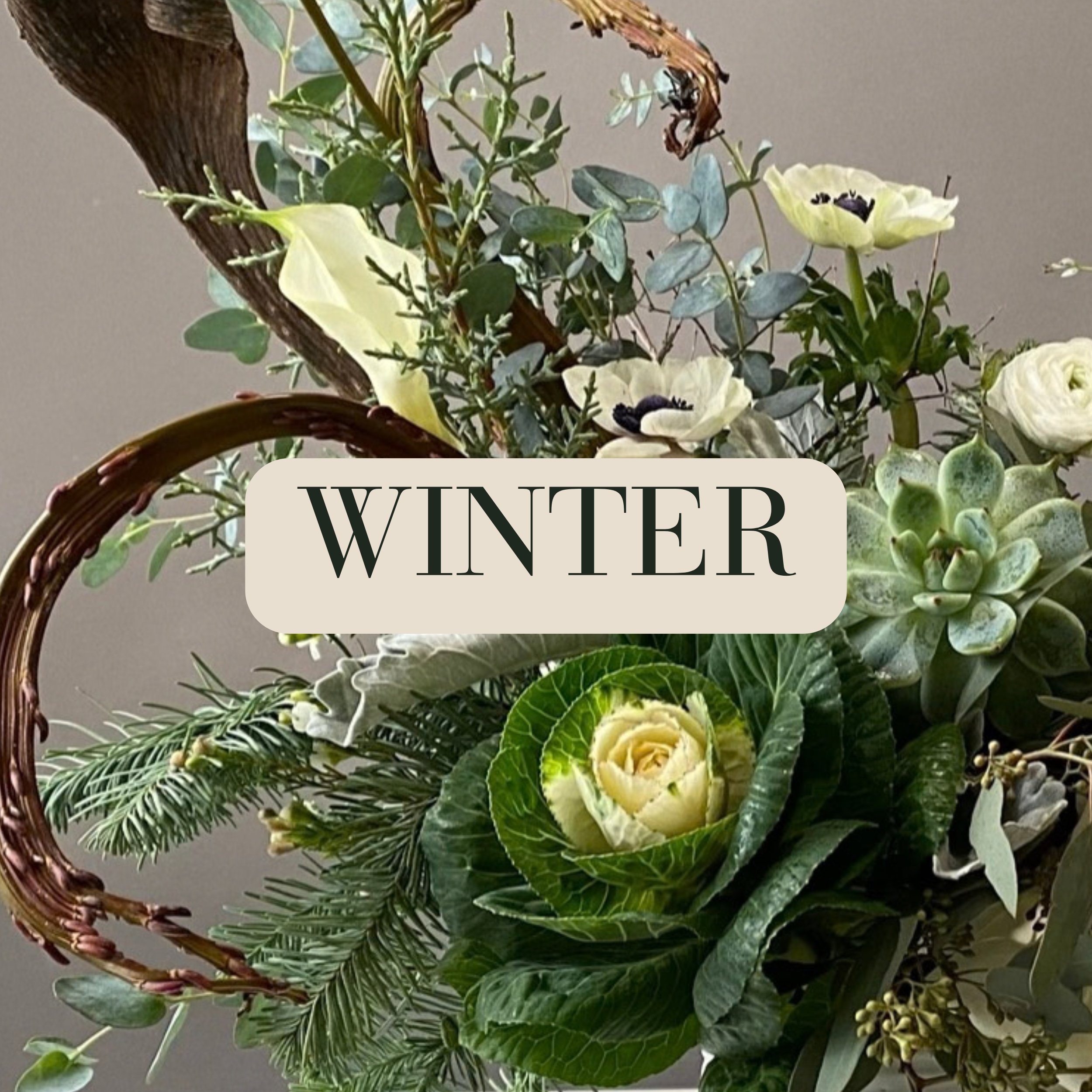 Winter_flowers.jpg