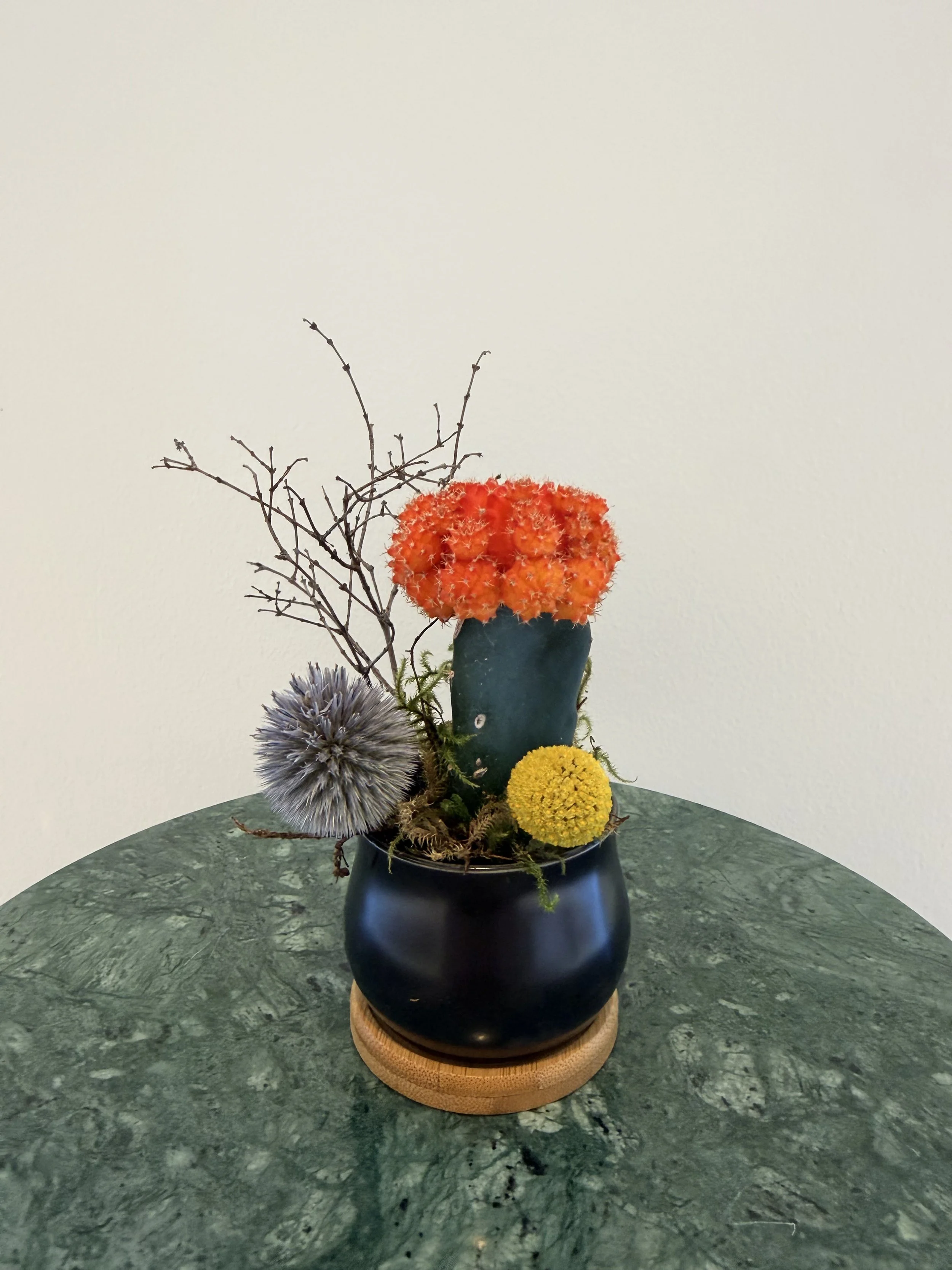 cacti_round_pot.jpg