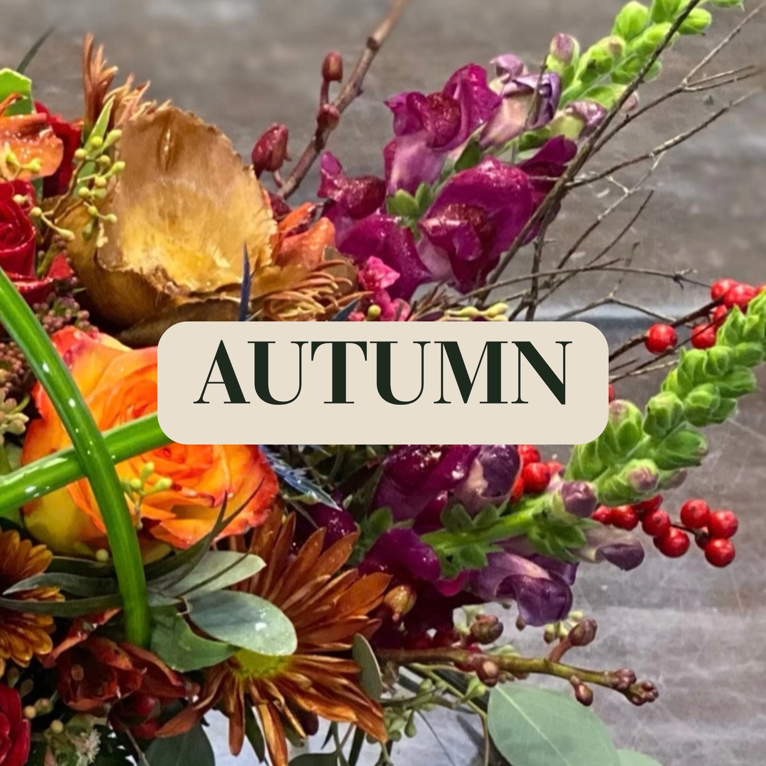 Seasonal Mix