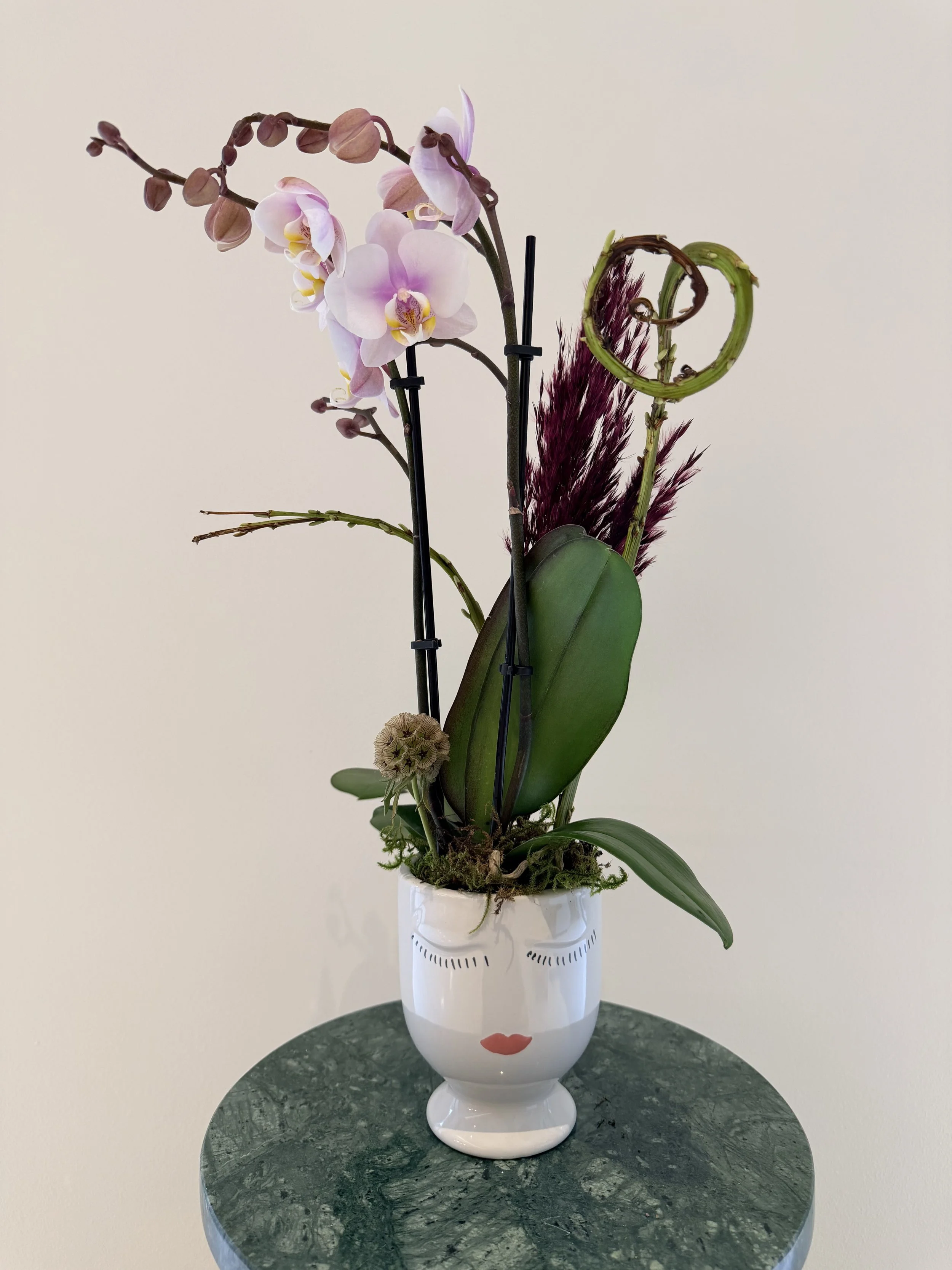 medium_purple_orchid_plant.jpg