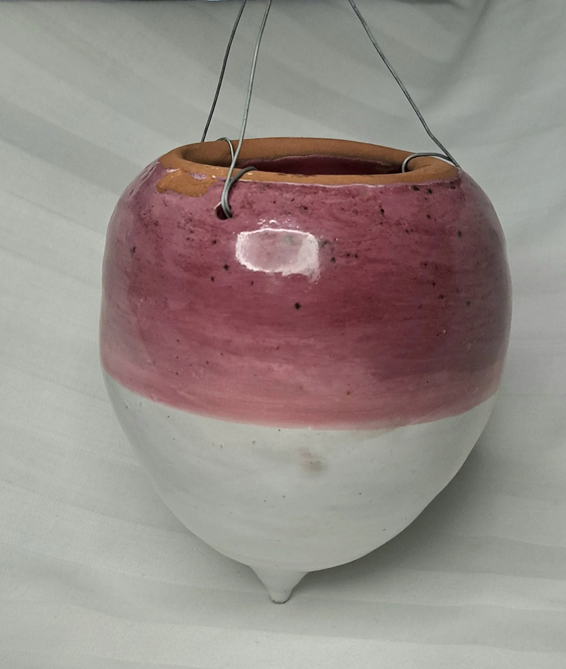 turnip1.2.jpg