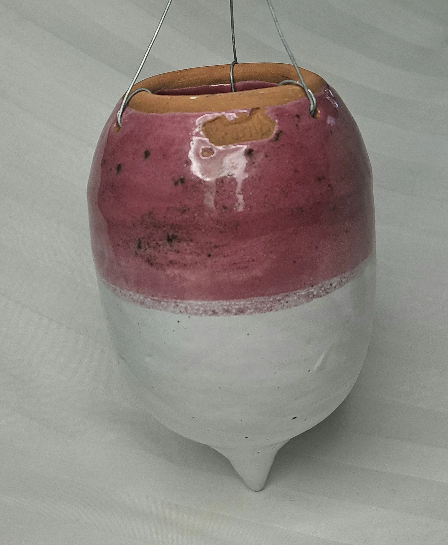 turnip2.2.jpg