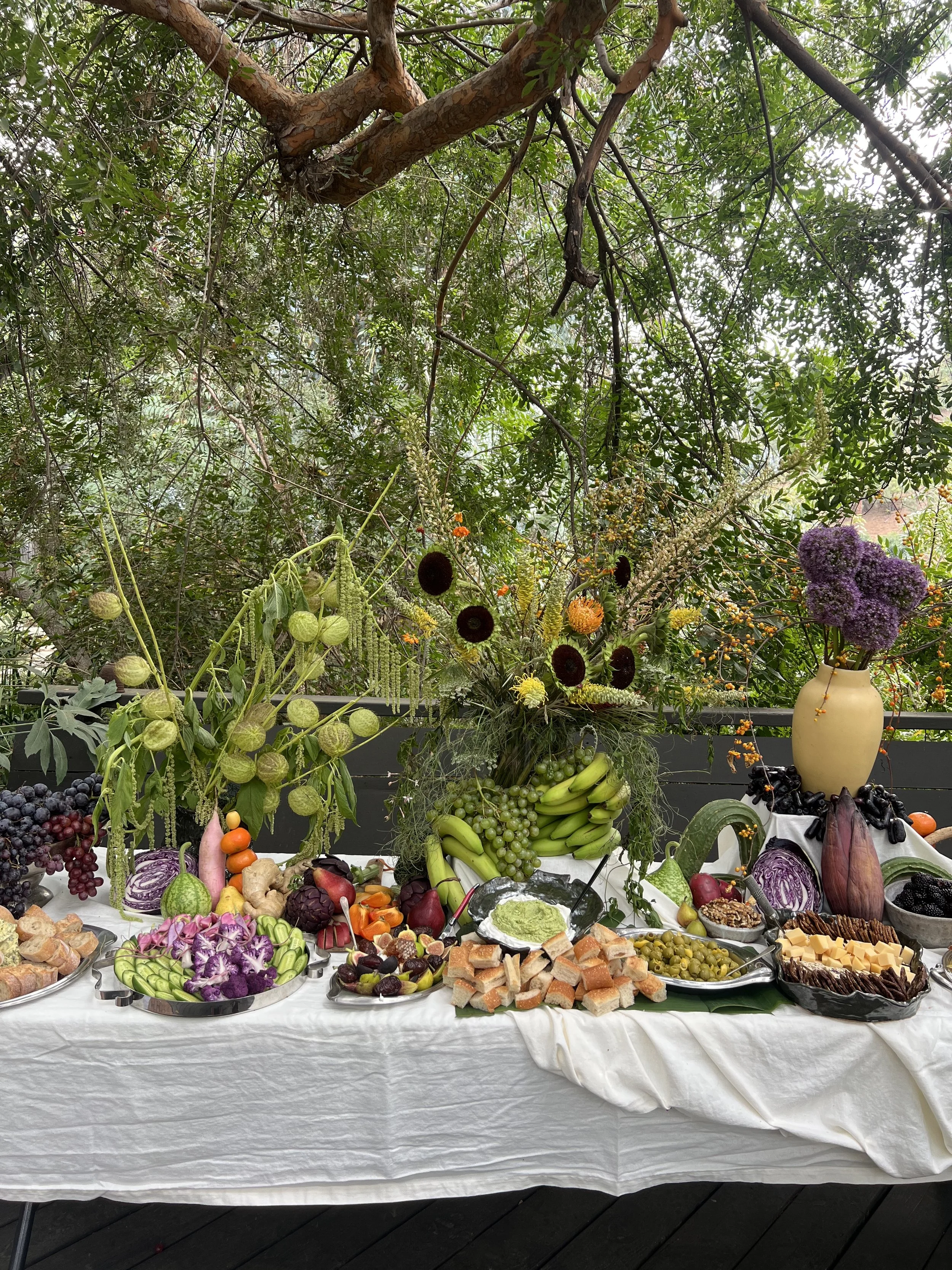 Creative & Culinary Direction for Good Bacteria 