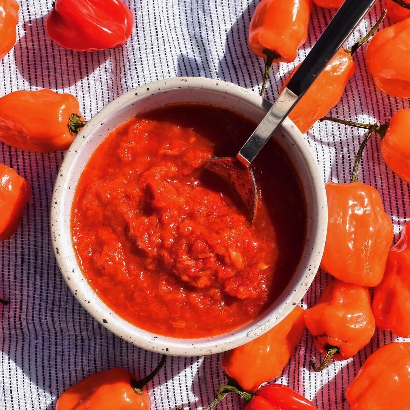 Lactofermented Hot Sauce Recipe