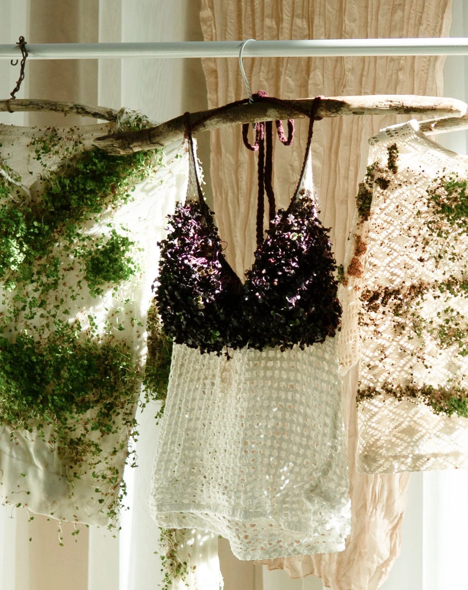 Living Clothing for Commons 