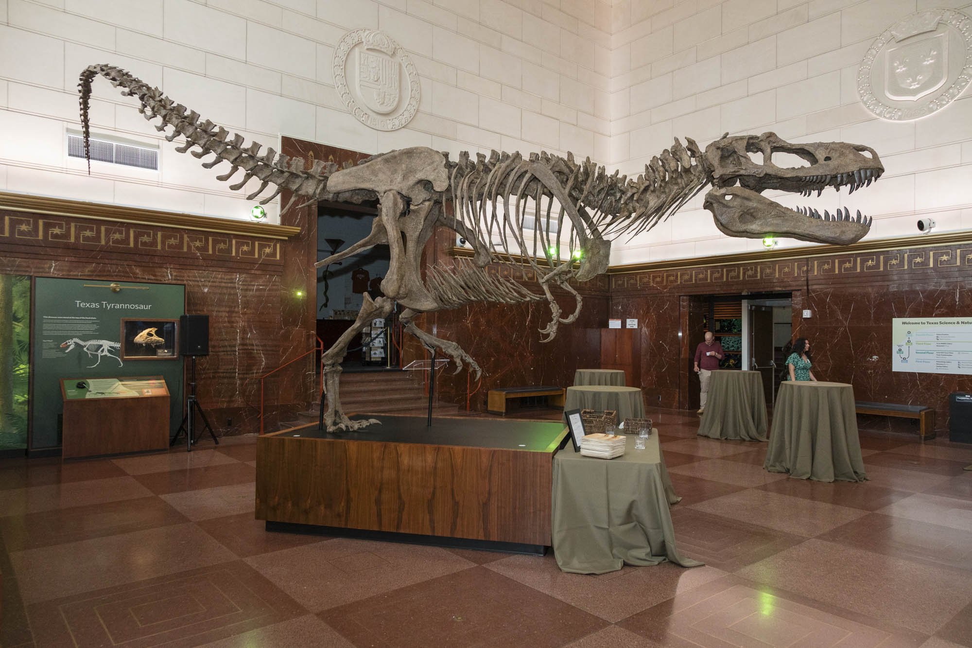 3_Dino Hunting-004.jpg