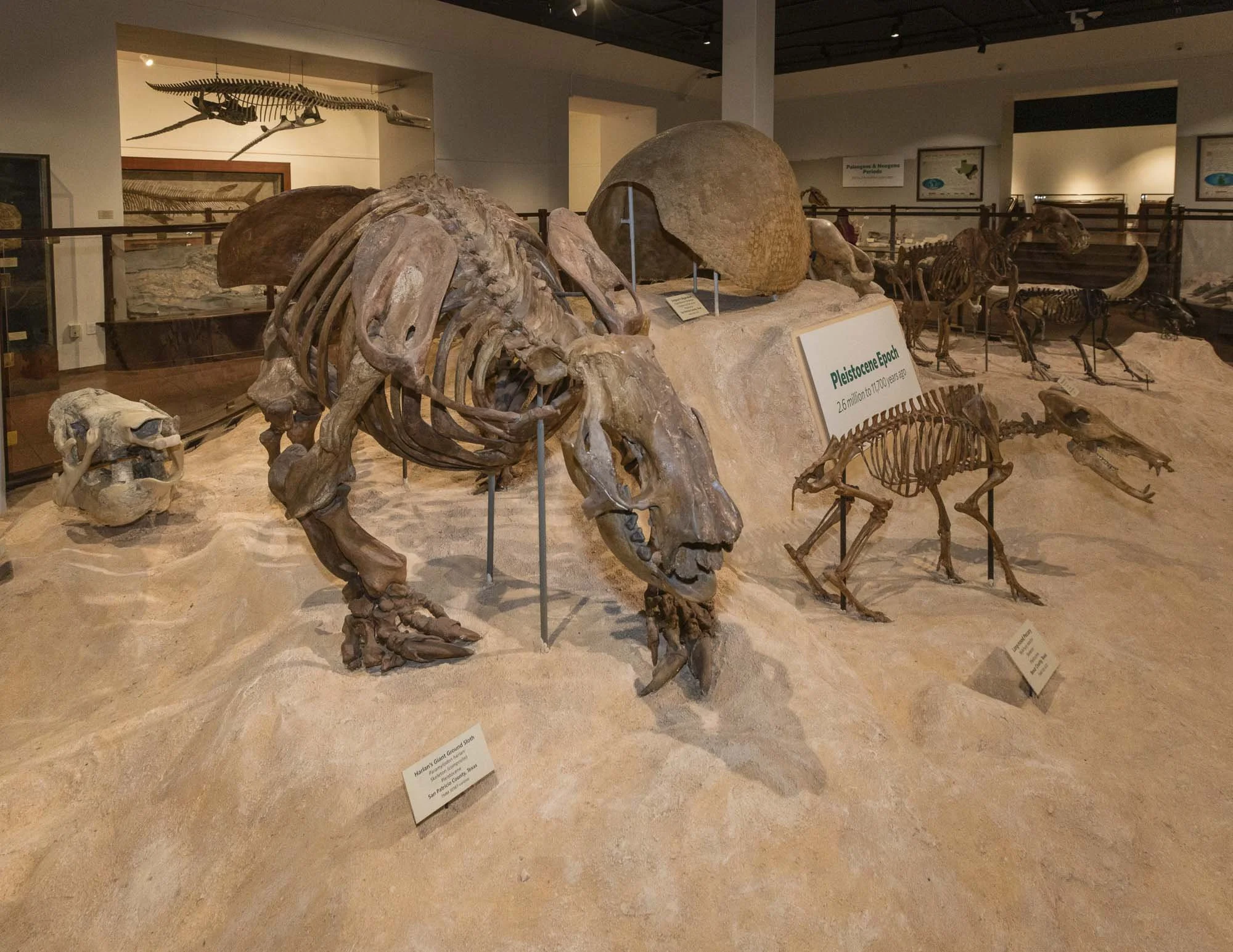 3_Dino Hunting-043.jpg