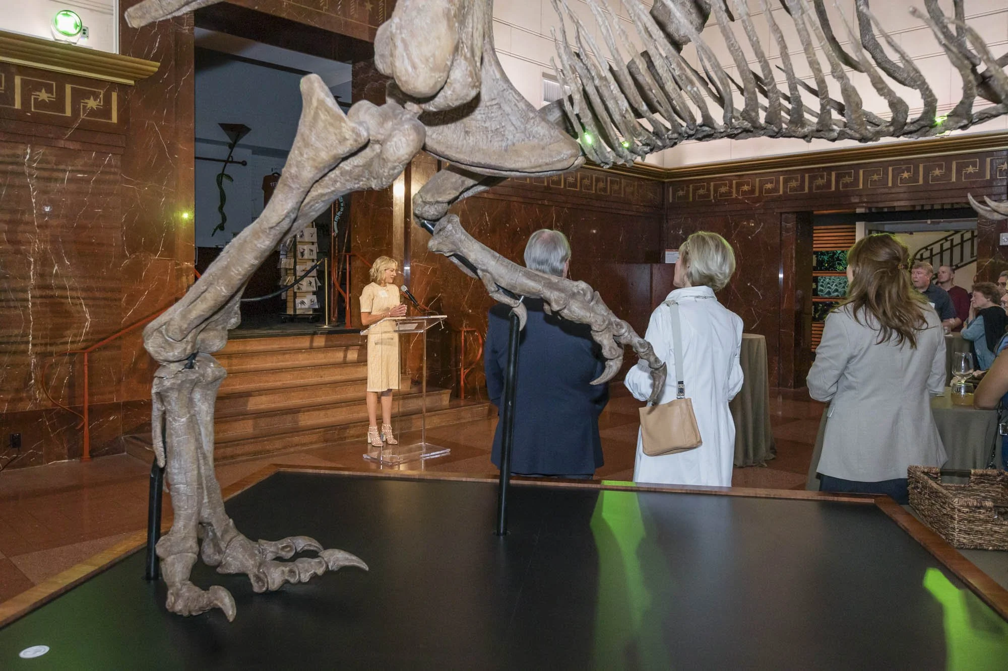 3_Dino Hunting-026.jpg