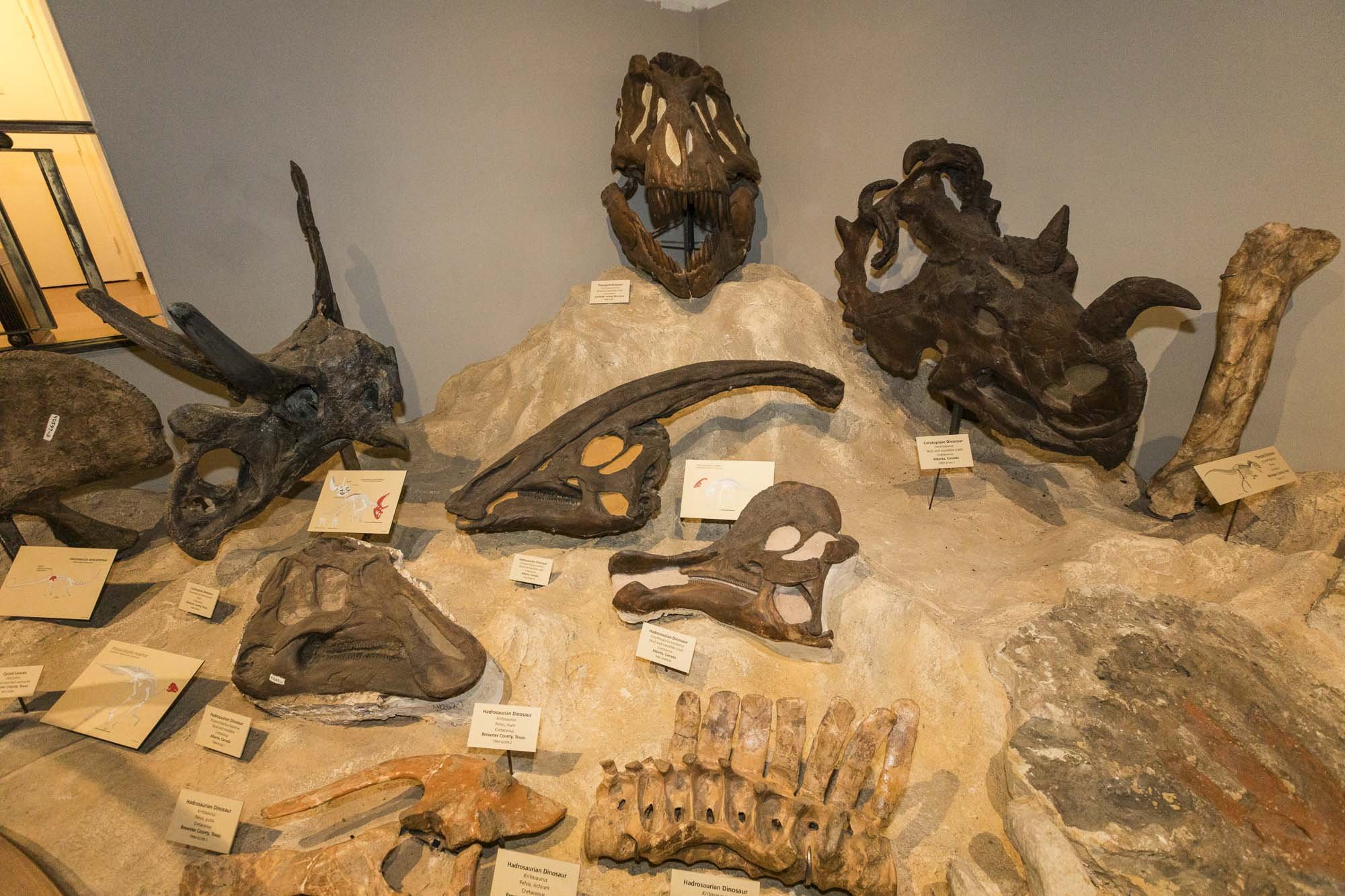 3_Dino Hunting-041.jpg