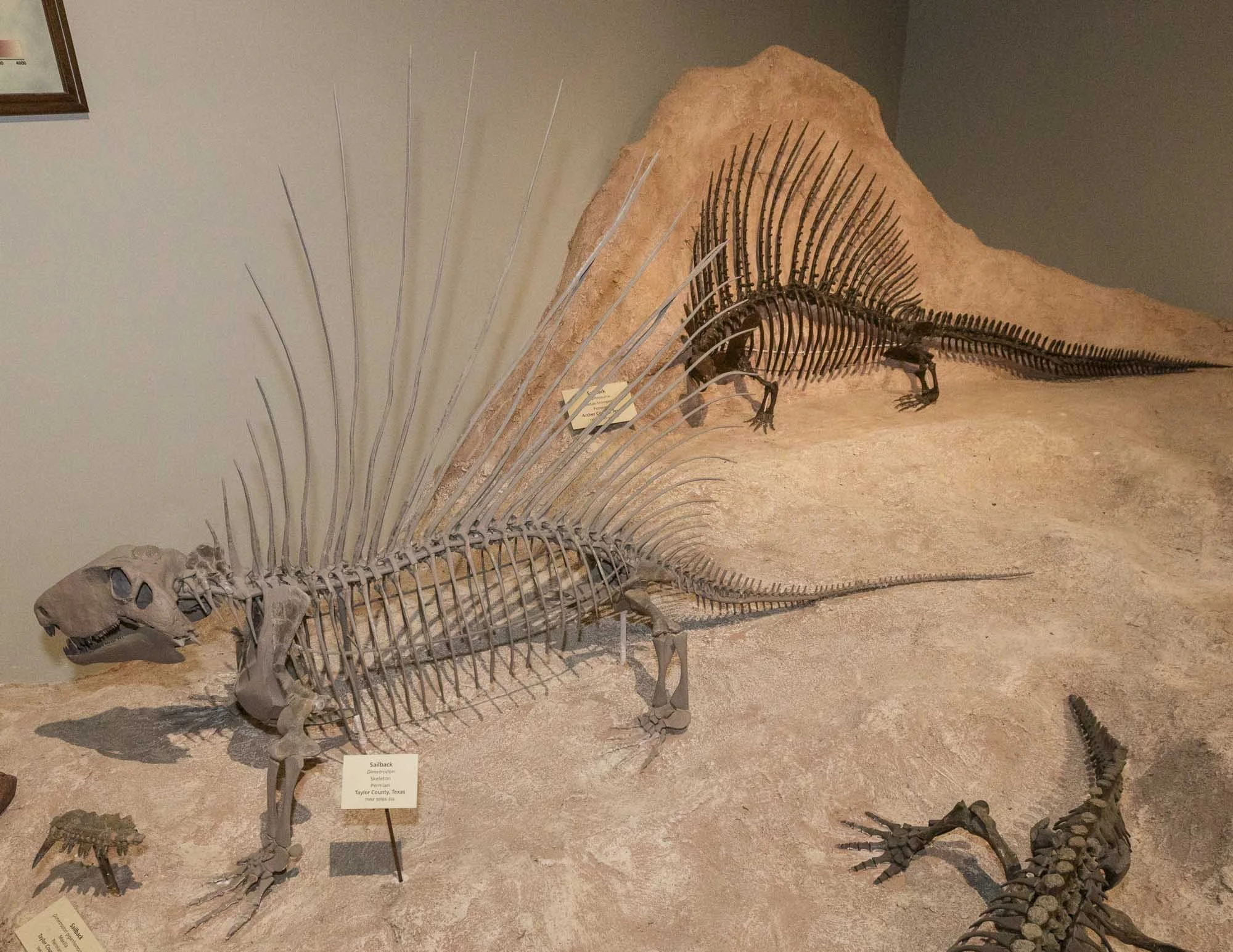 3_Dino Hunting-045.jpg
