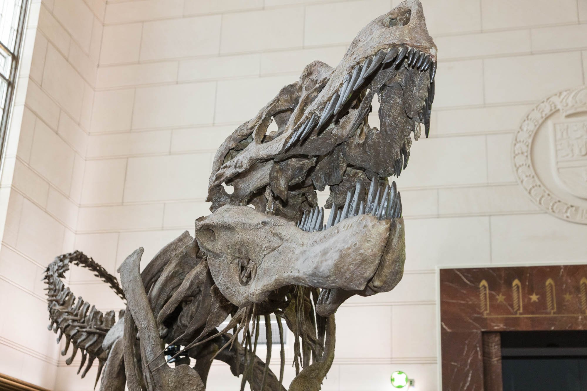 3_Dino Hunting-006.jpg