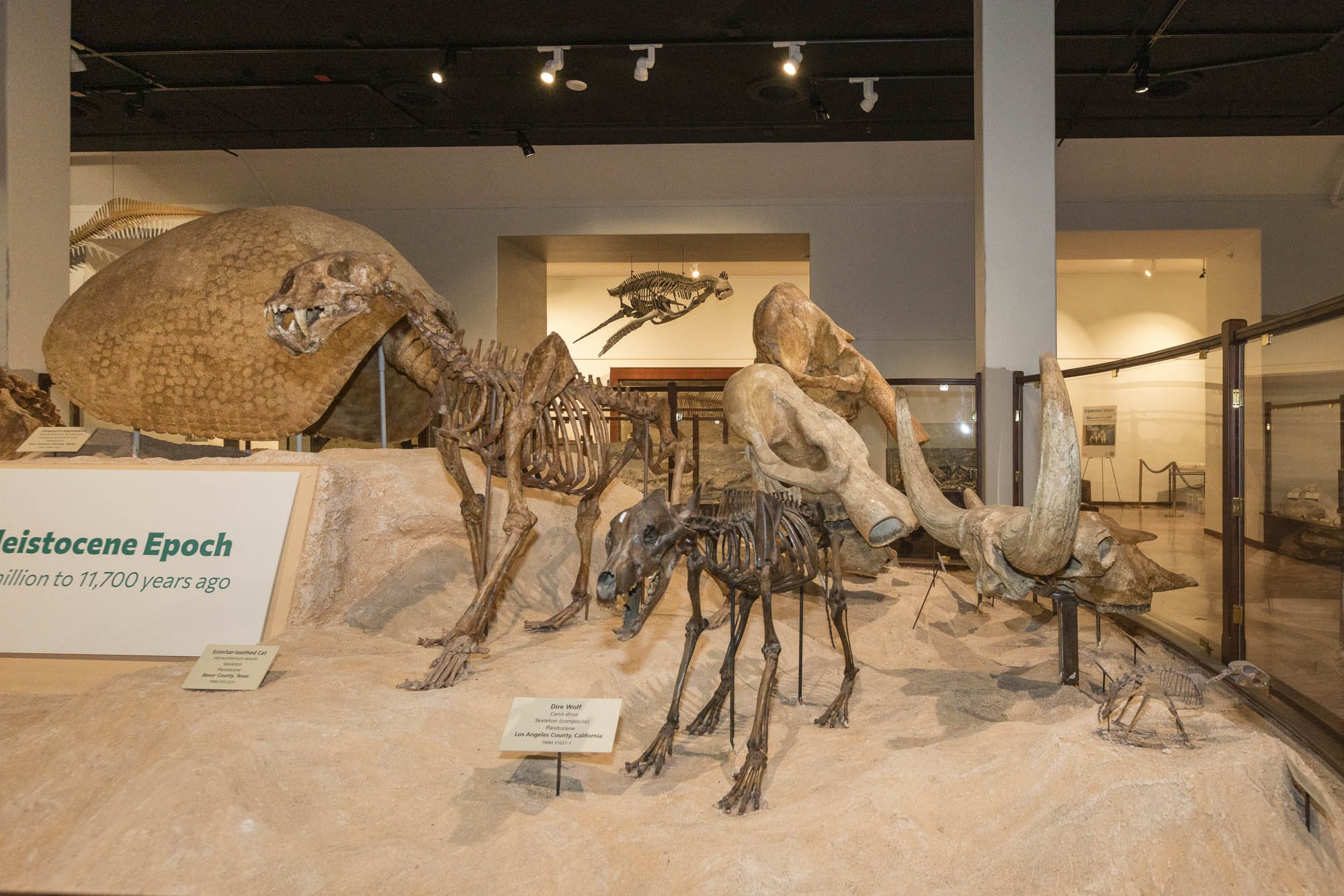 3_Dino Hunting-046.jpg