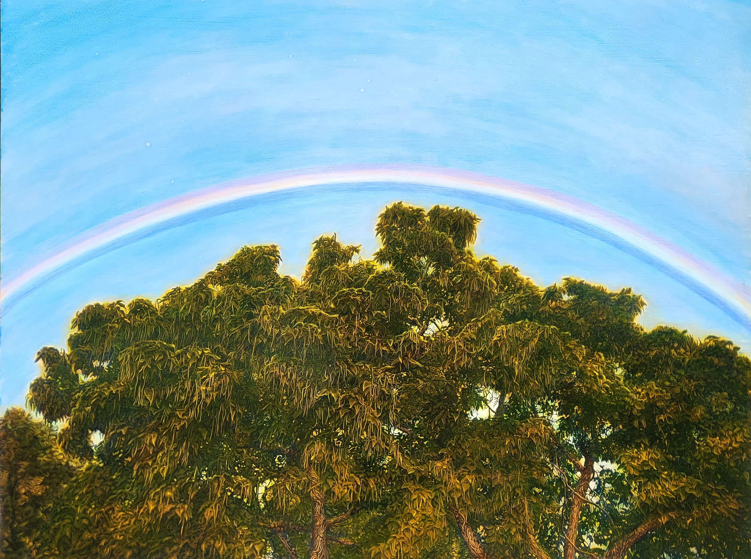 Catalpa. Oil and Acrylic on Panel. 30"x40". $5000