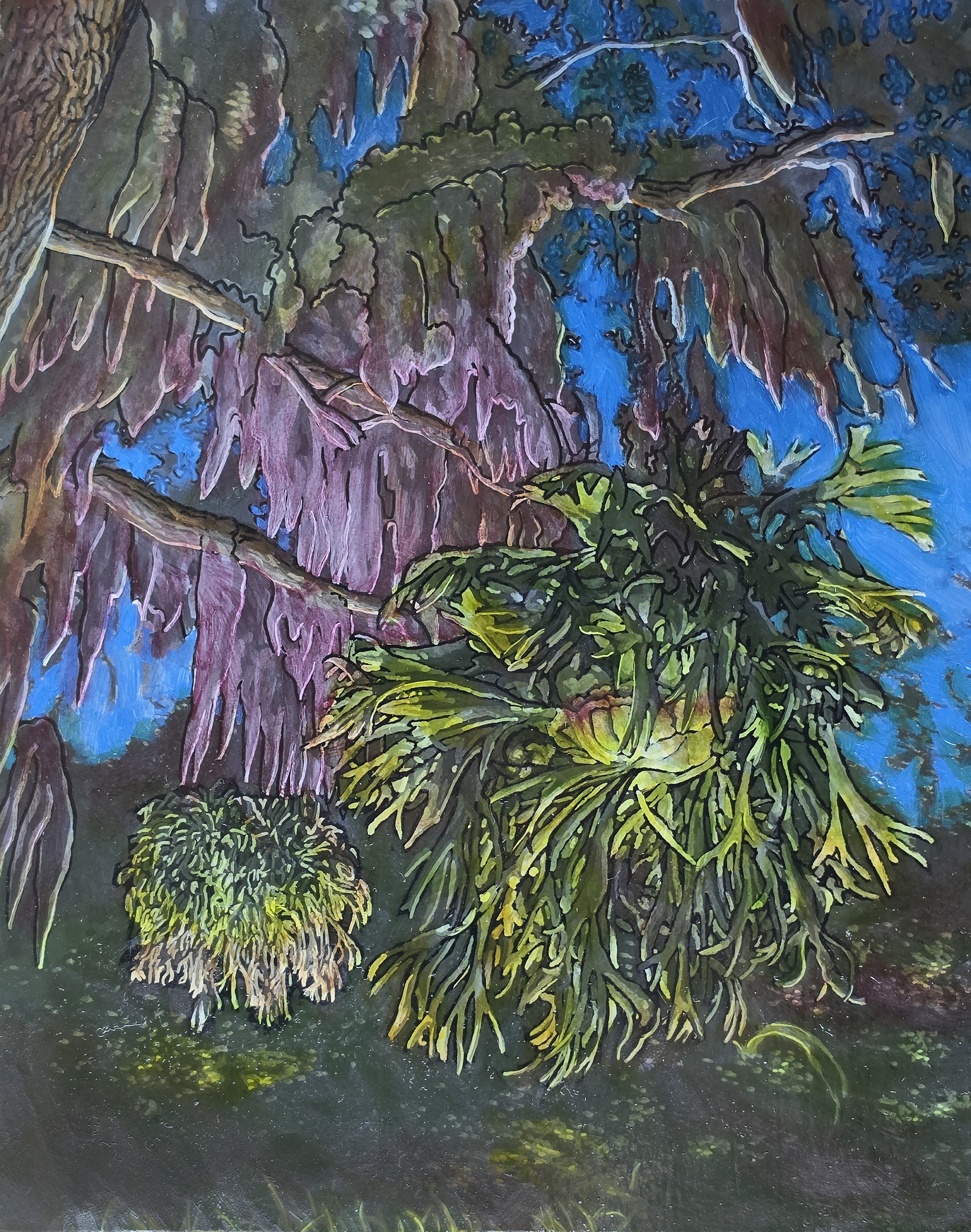 Staghorn Ferns. Oil and Acrylic on Panel. 8"x10". $400