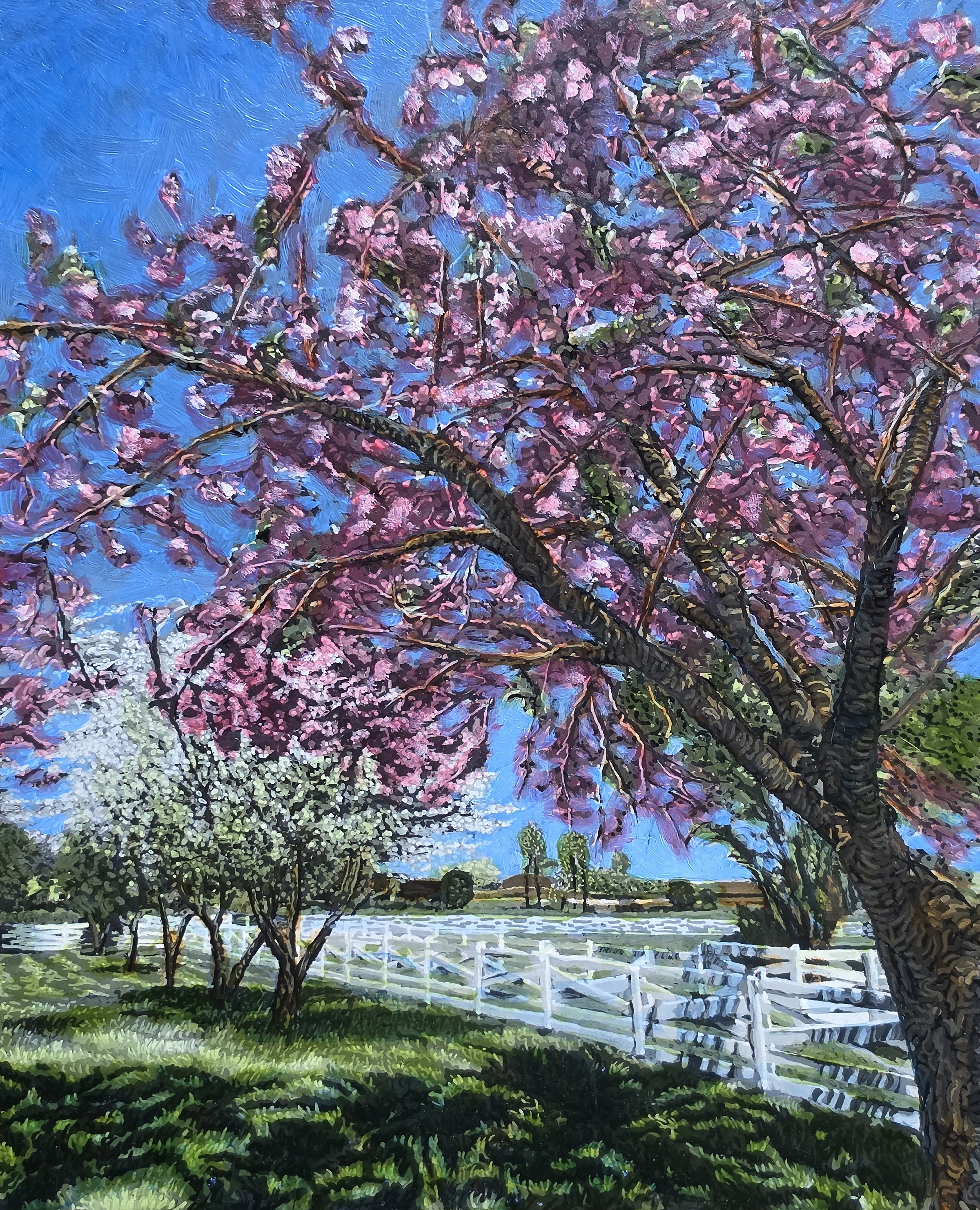 Cherry Blossoms. Oil and Acrylic on Panel. 8"x10". $400