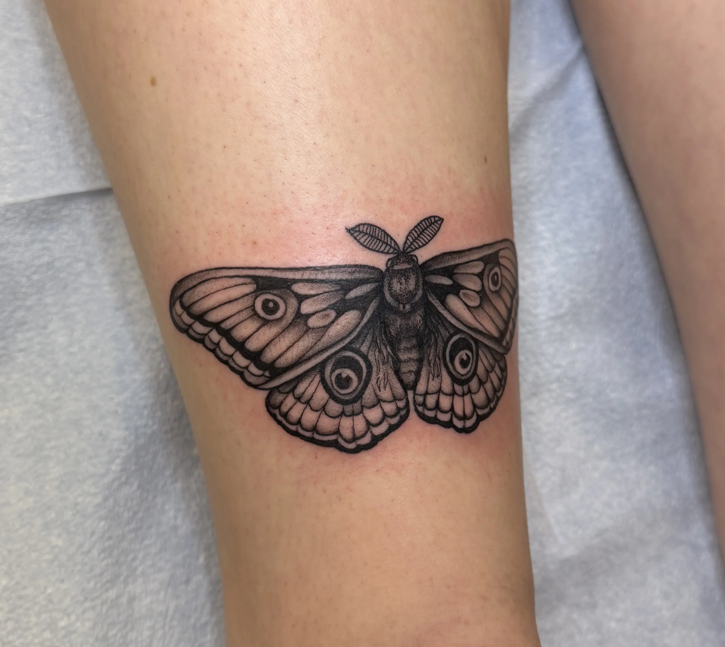 Close-up of a person's side with a black outline butterfly tattooed on the skin near the waist, with a background of light-colored fabric.