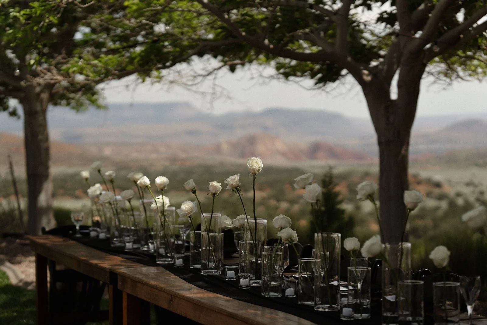 Zion Zen Ranch Wedding-292.jpg