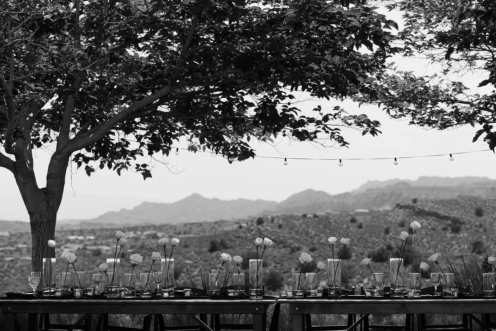 Zion Zen Ranch Wedding-303.jpg