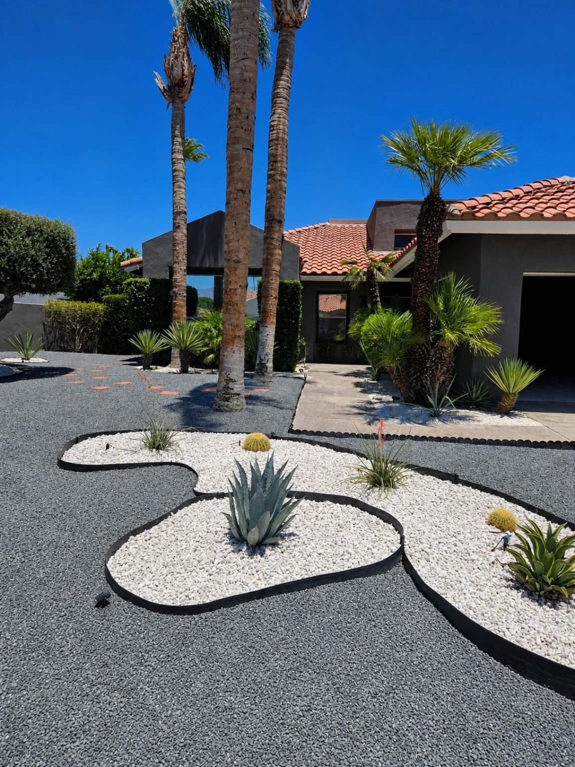 desert_residence_after_04_planting.jpg
