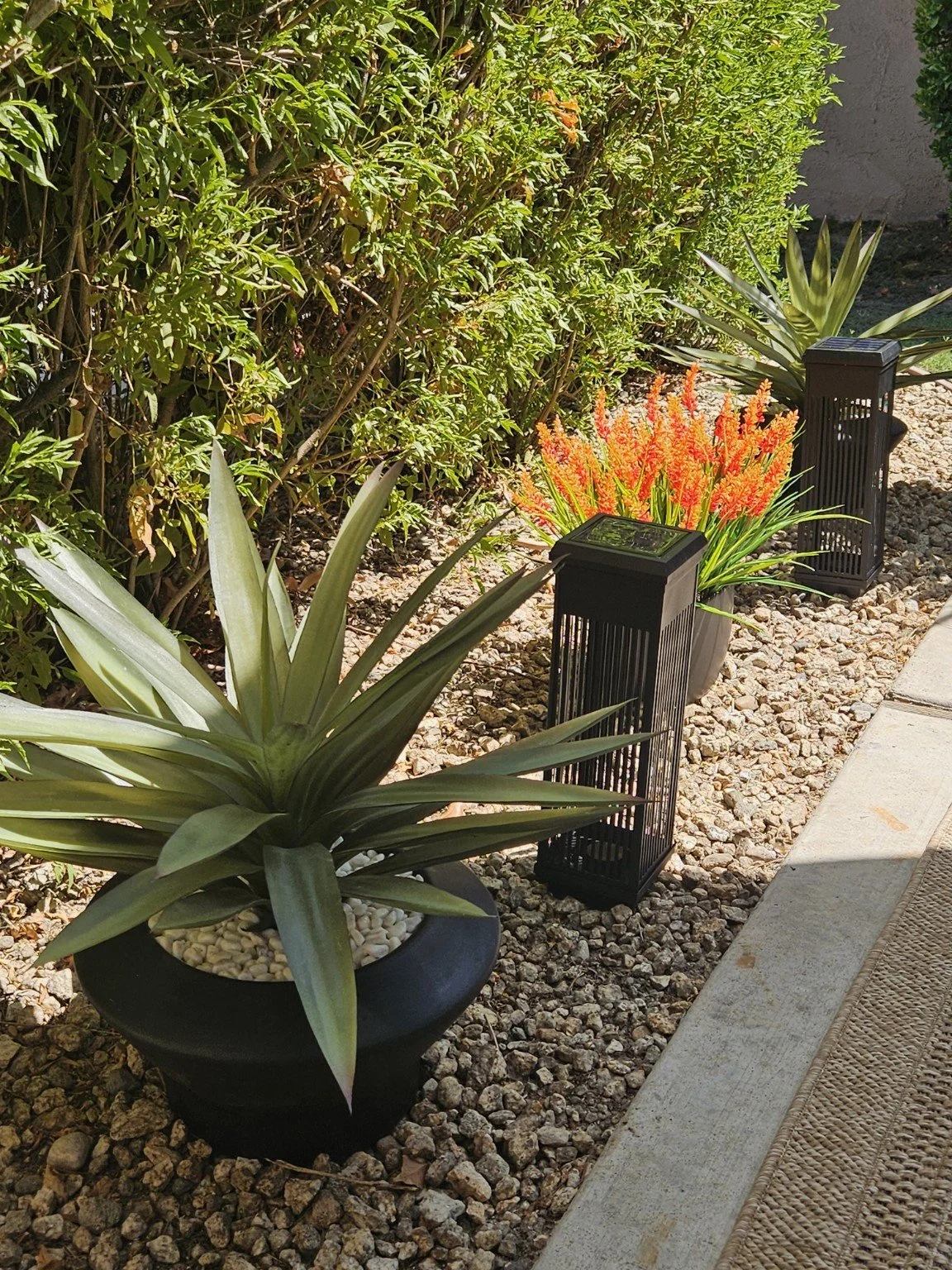 CCL_agave_detail_7351.jpg