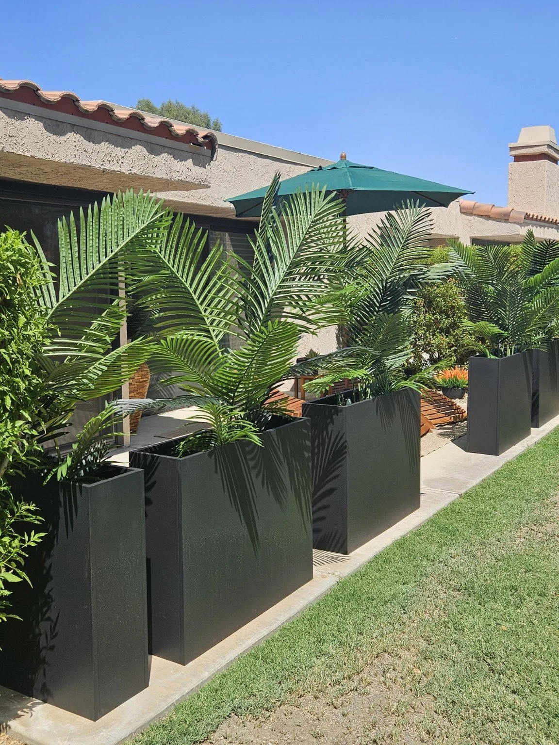CCL_planter_row_7354.jpg
