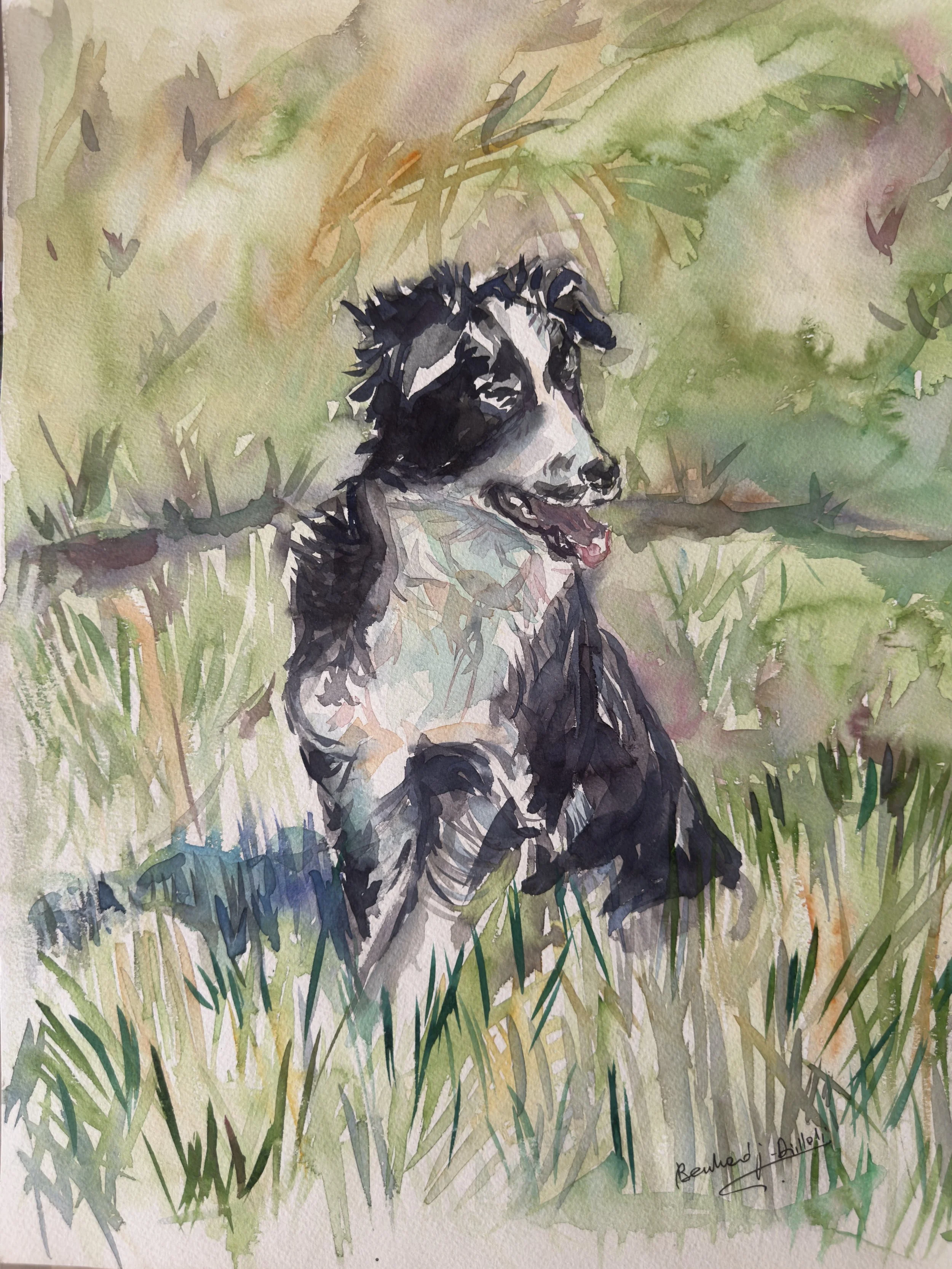 Watercolor painting of a dog with black and white fur, sitting in grass with a background of green, yellow, and pink watercolor washes.