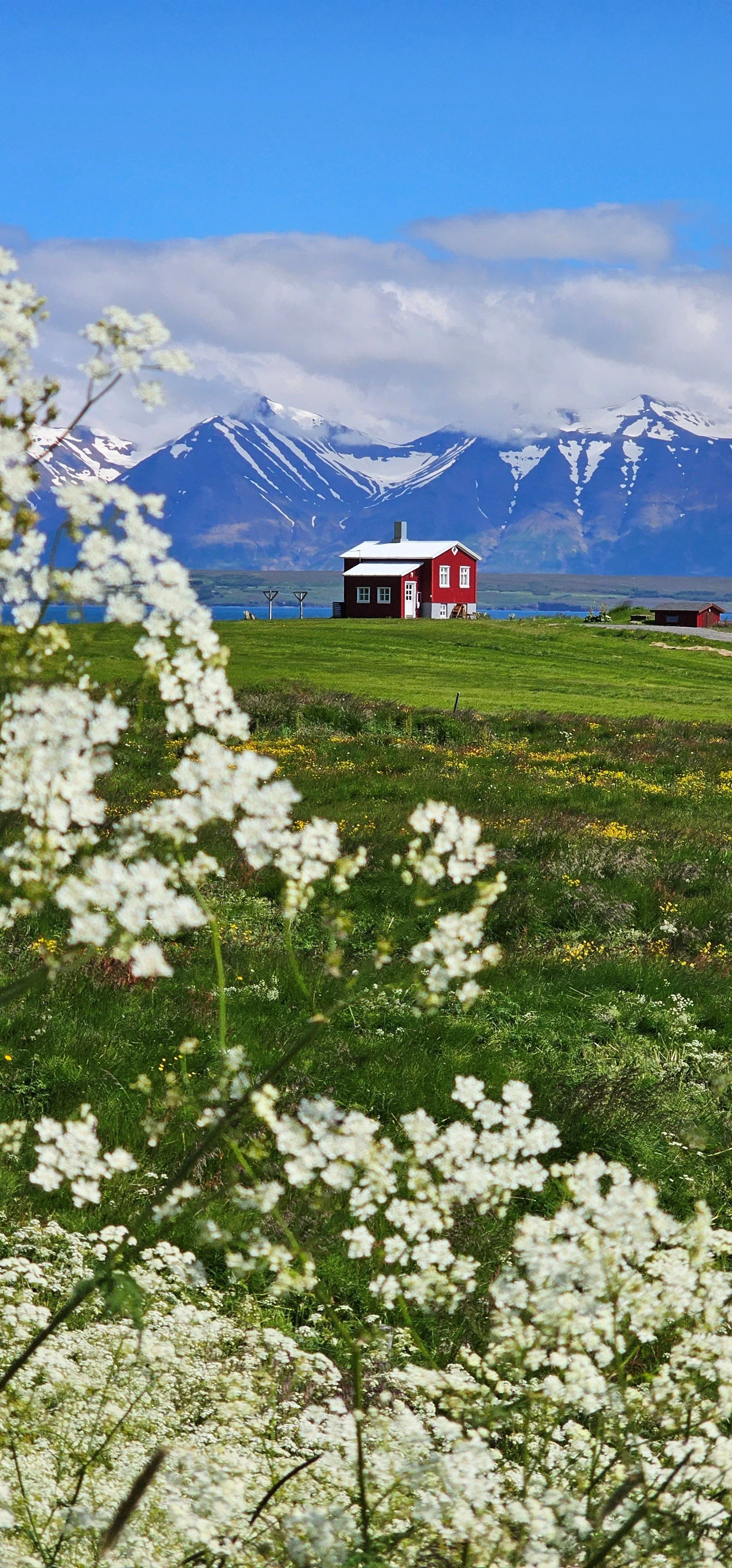 Iceland 4.jpg
