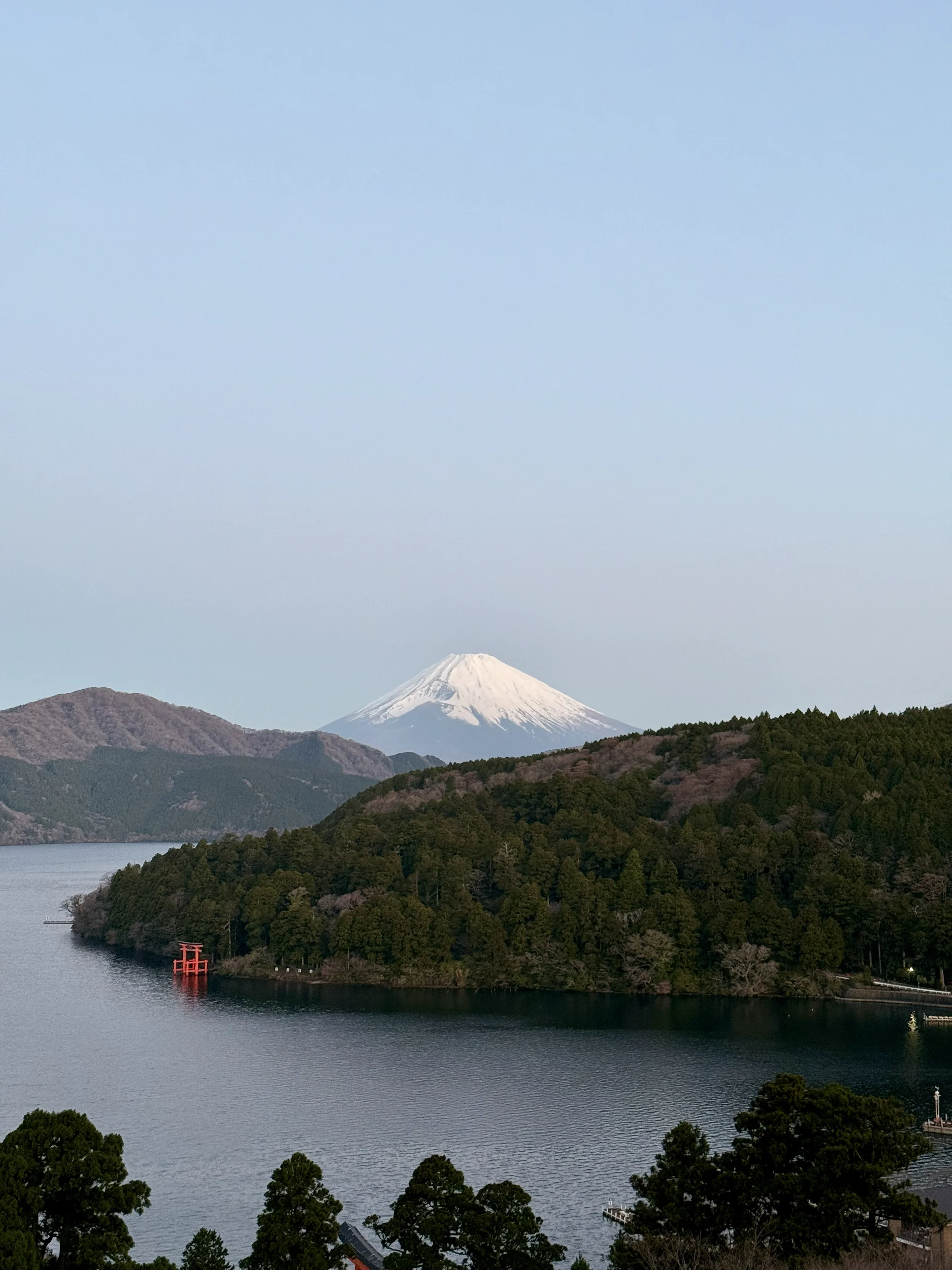 IMG_8690.webp