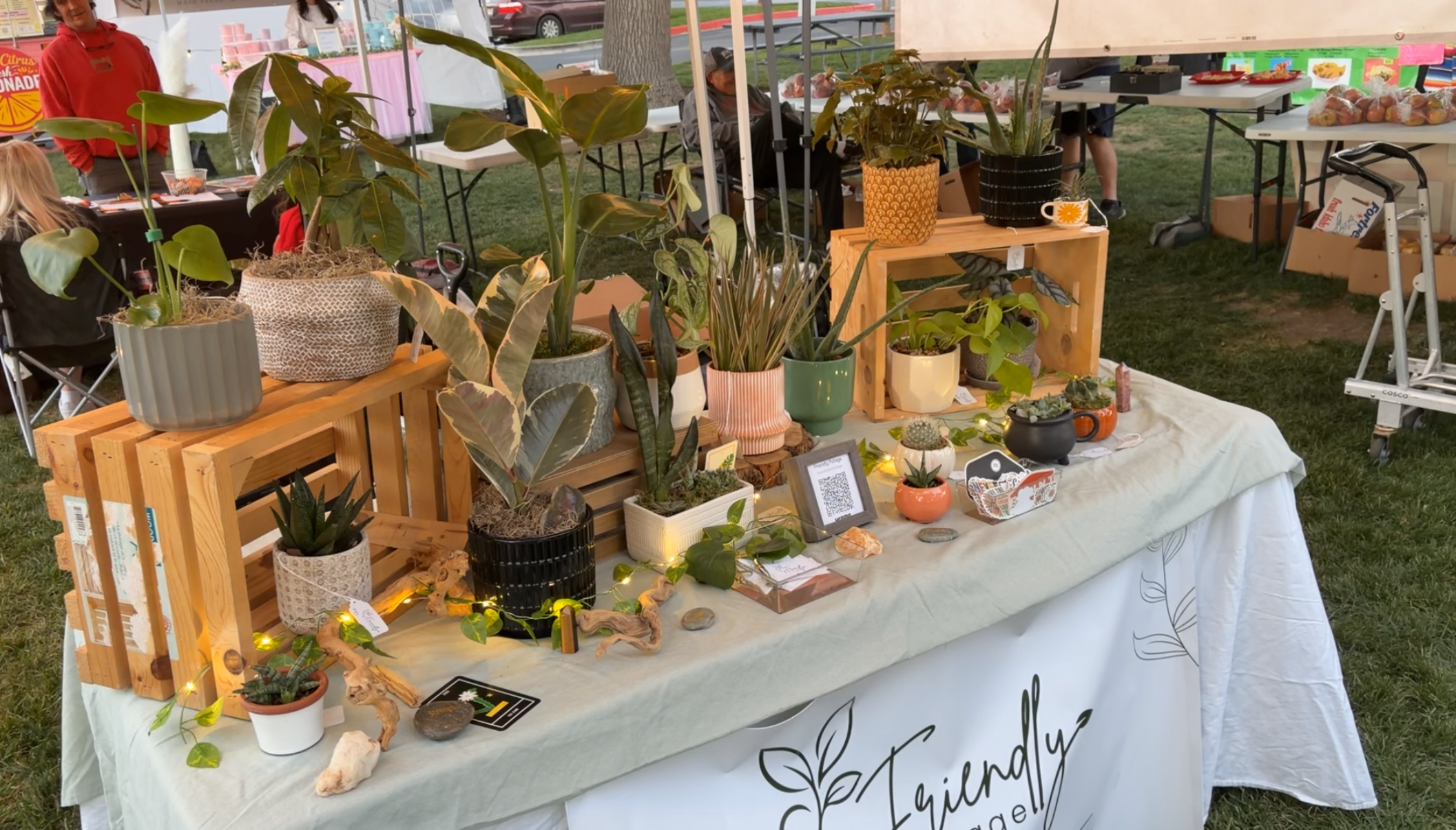 Swing by, say “aloe!” 
