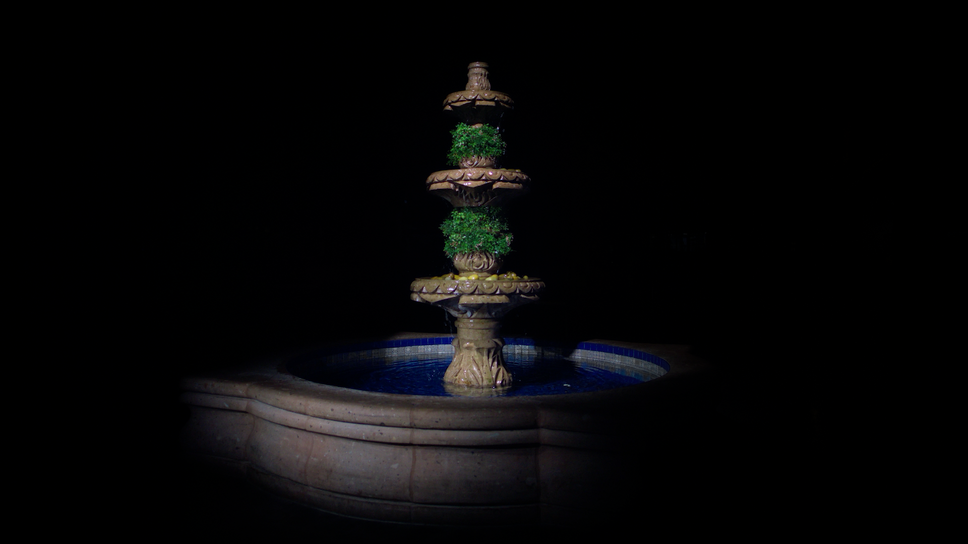 Video-Thumbnails__0003_The-Fountain.png