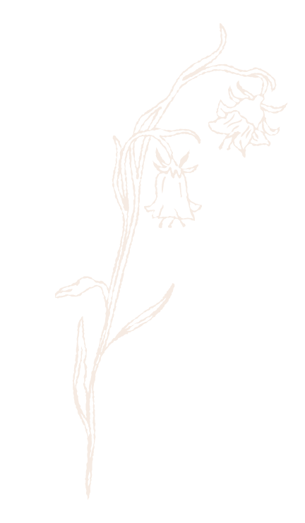 White outline of a drooping bell-shaped flower on a tall, slender stem with few leaves, set against a black background.
