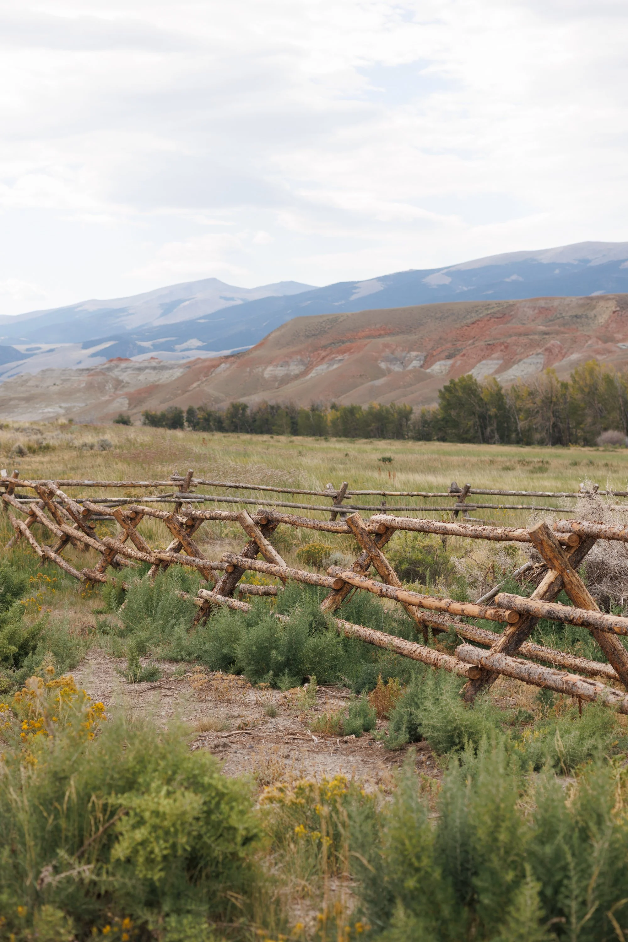 Luxury lodge and cabin rentals in Dubois, Wyoming. Dubois wedding and event venue rental. View of rolling hills and mountains in the distance, with lush green bushes and a rustic wooden fence in the foreground, under a cloudy sky.