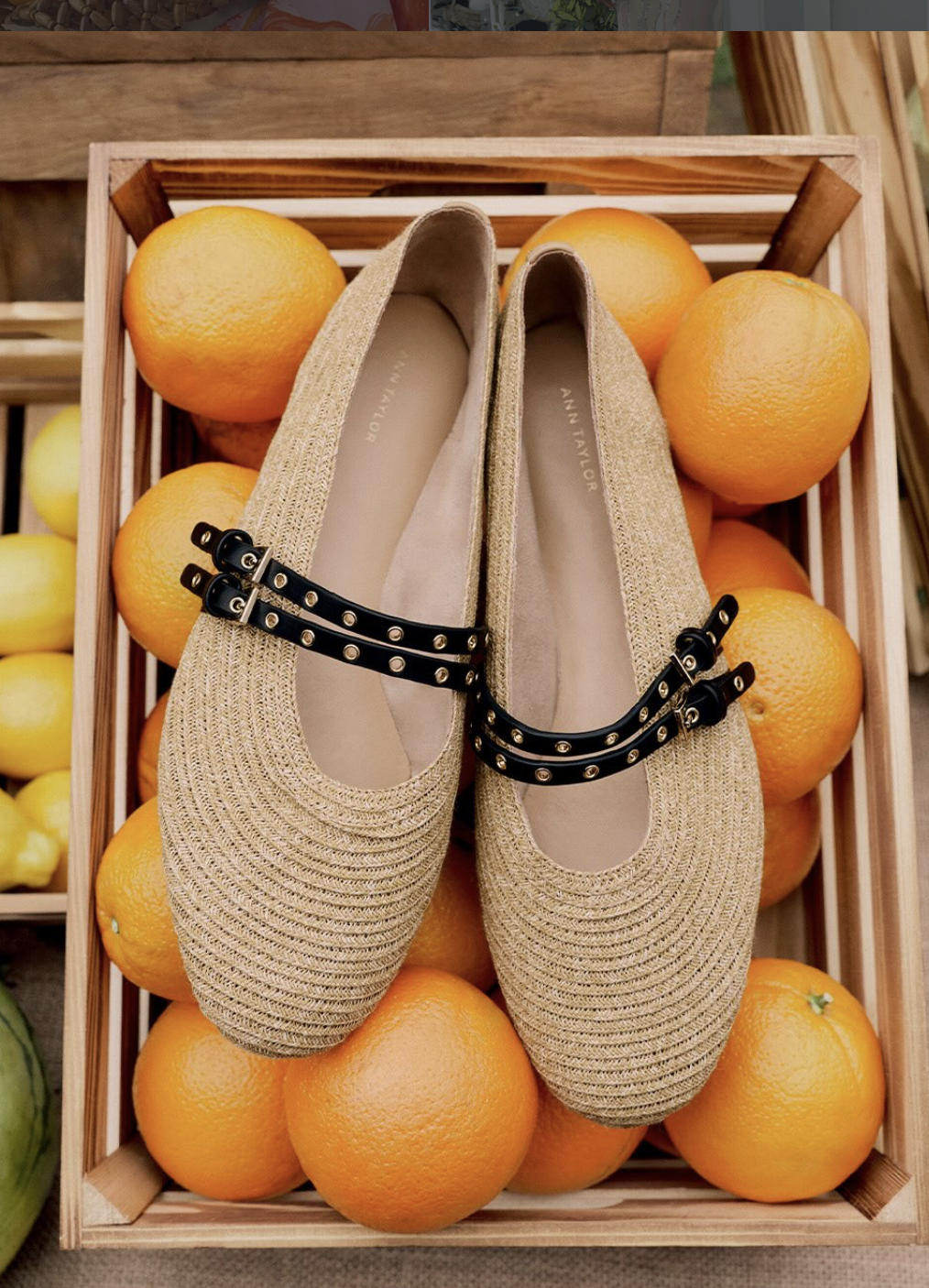 Screenshot 2026-08-28 at 12.24.55 PM.png