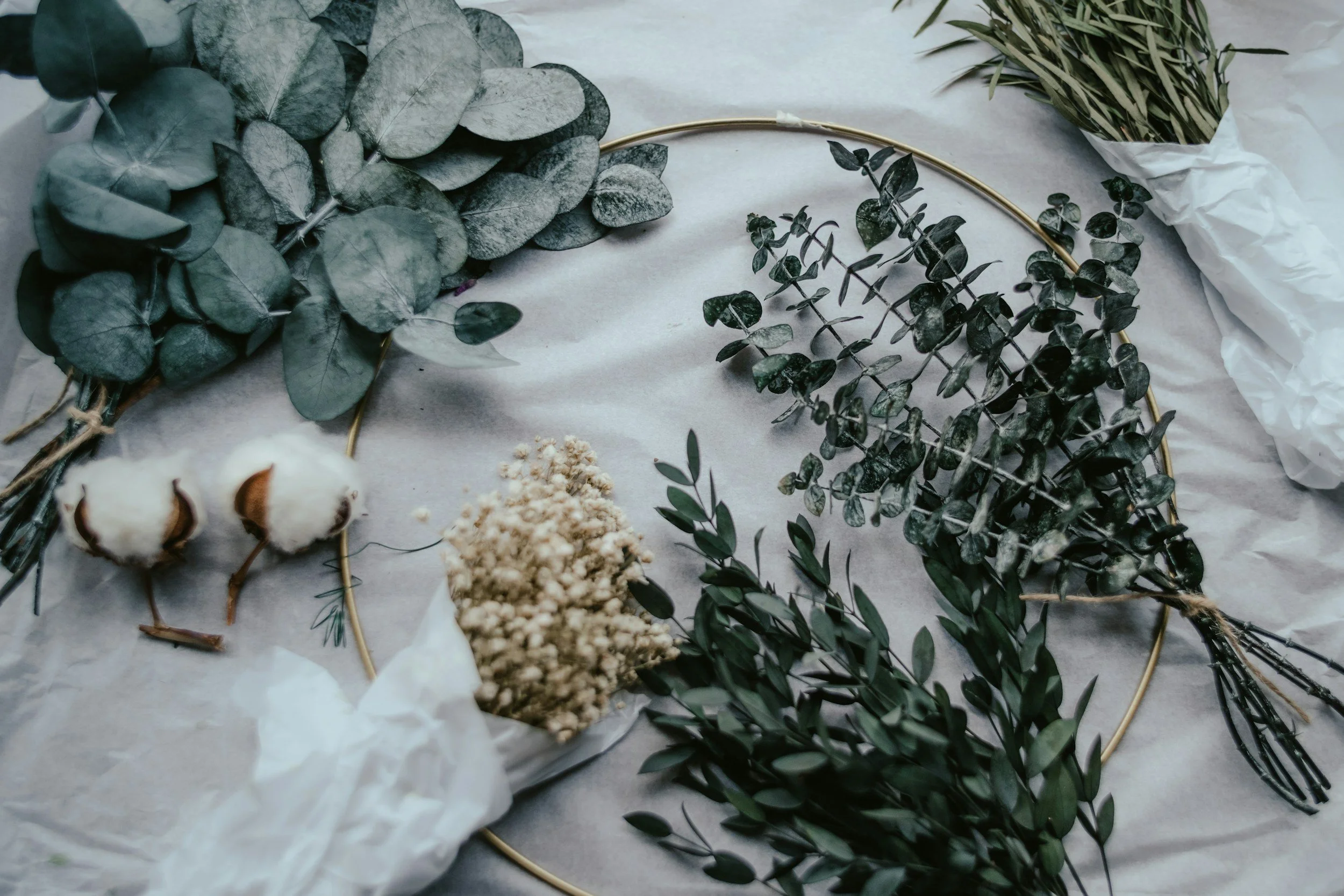 An arrangement of various green and gray dried eucalyptus and botanical stems on white tissue paper.
