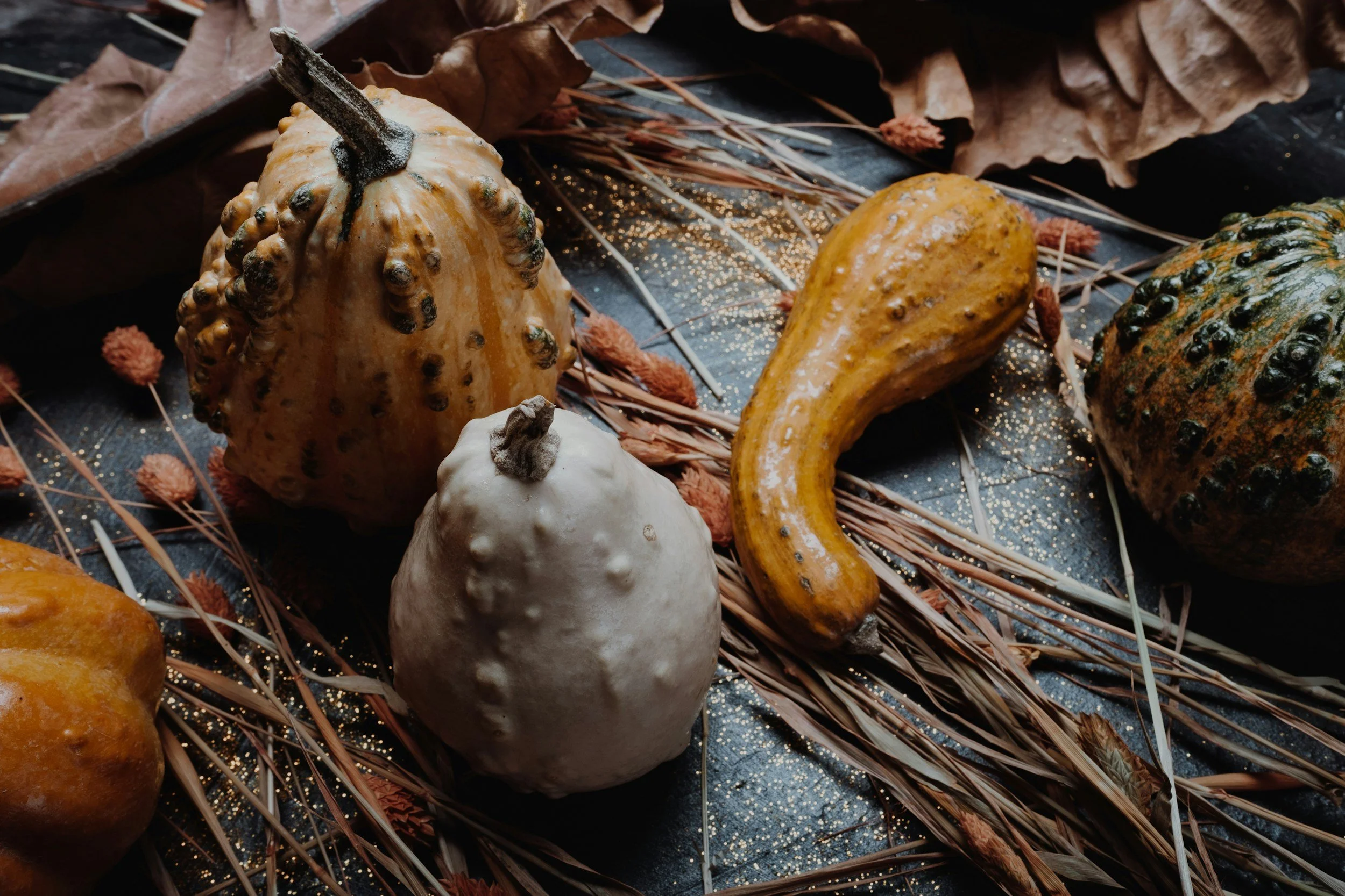 Various decorative gourds in orange, white, and green colors placed on straw and dried leaves with gold glitter, on a black surface.