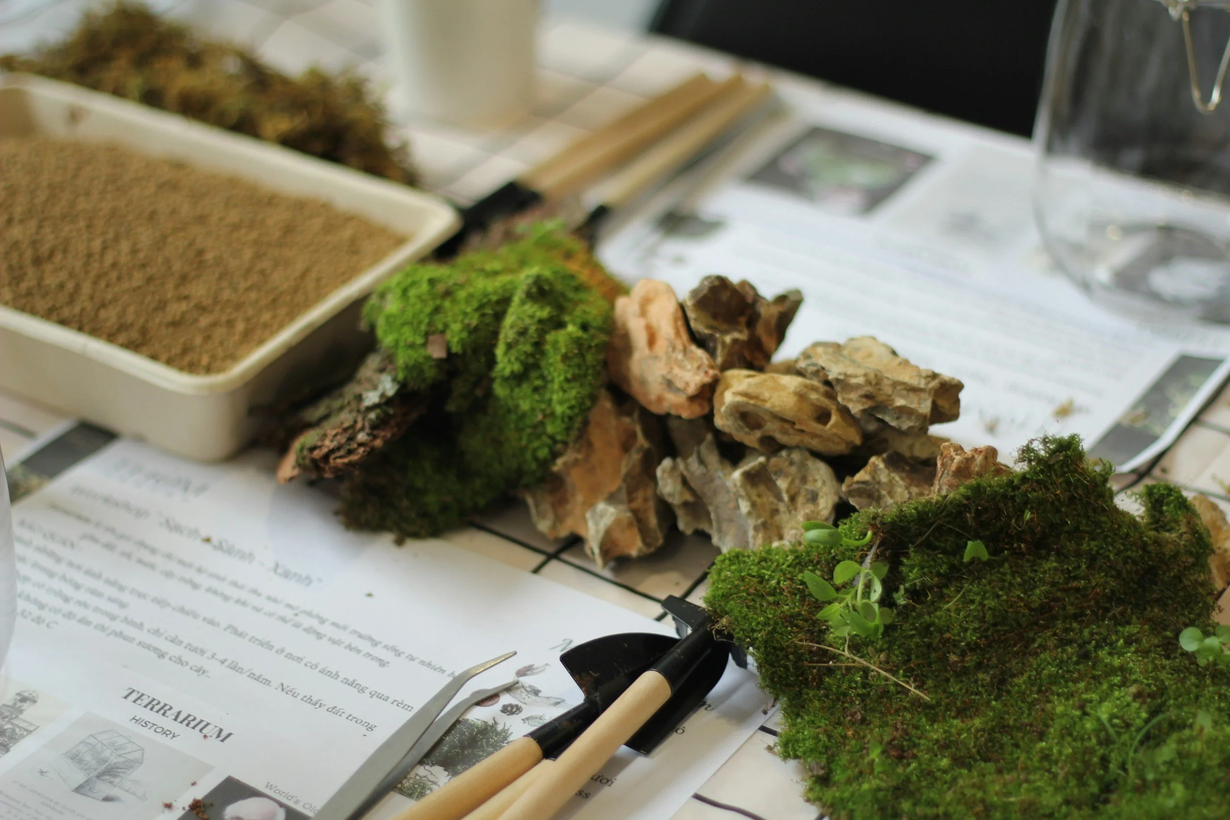Close-up of a tabletop display with small plants, rocks, a pen, and informational pamphlets related to terrarium history and construction.